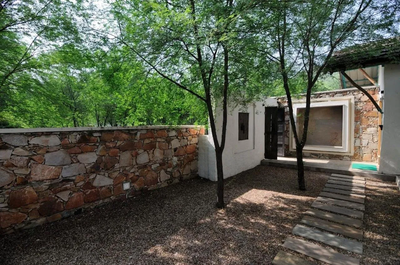 Trees N Tigers Luxury Wildlife Lodge