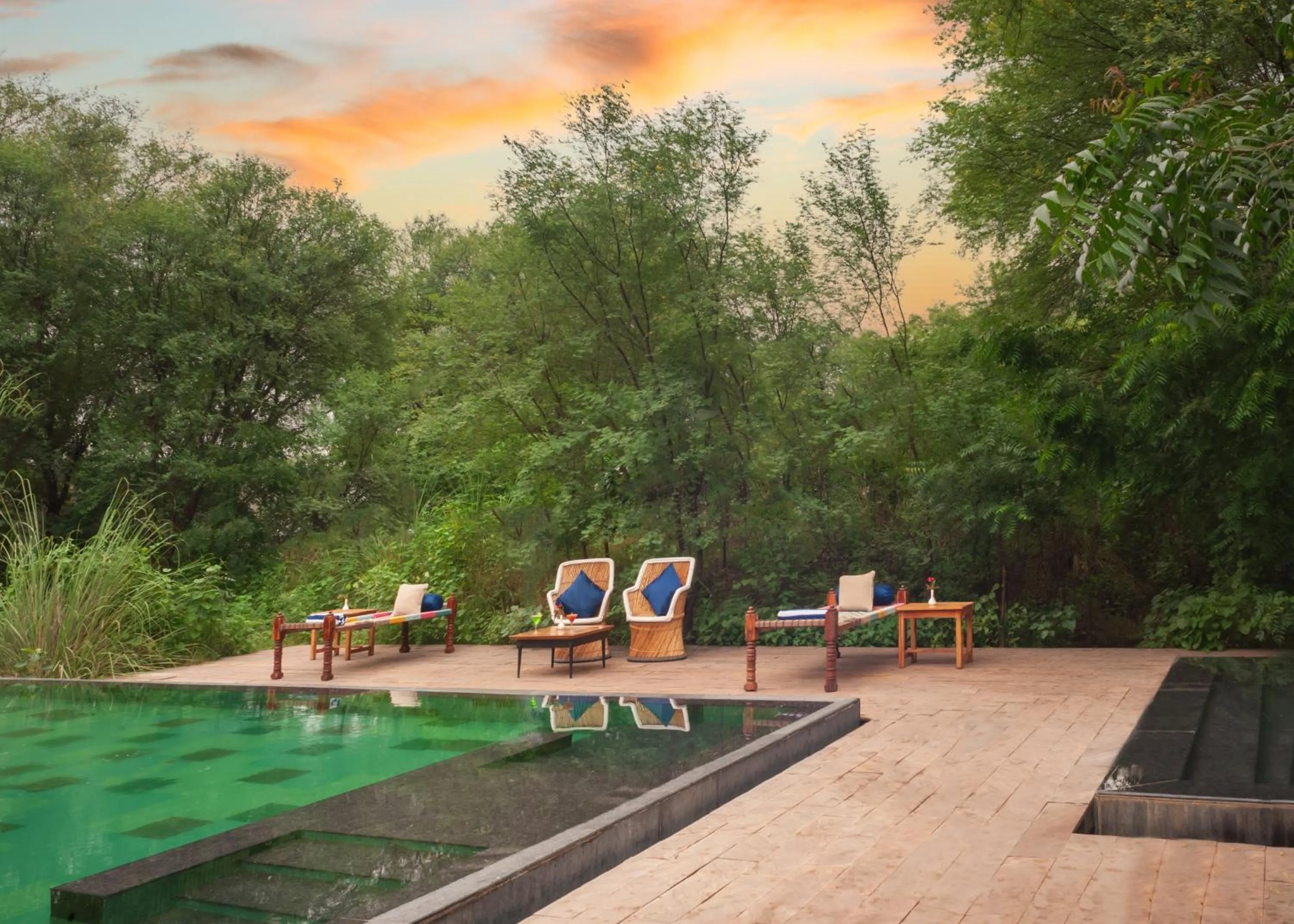 Swimming pool in Trees N Tigers Luxury Wildlife Lodge