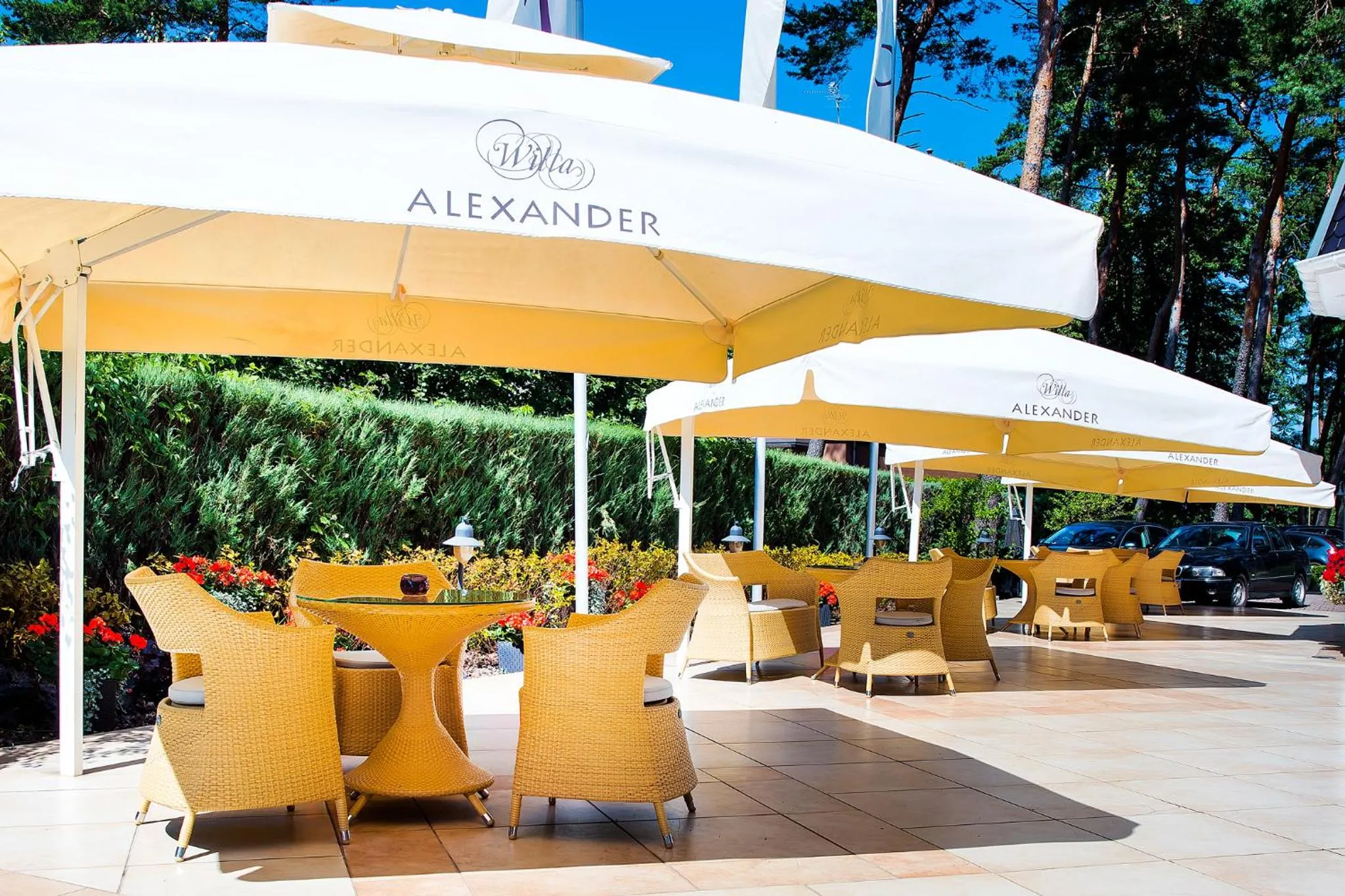 Patio in Willa Alexander Resort & SPA - caloroczny kryty BASEN