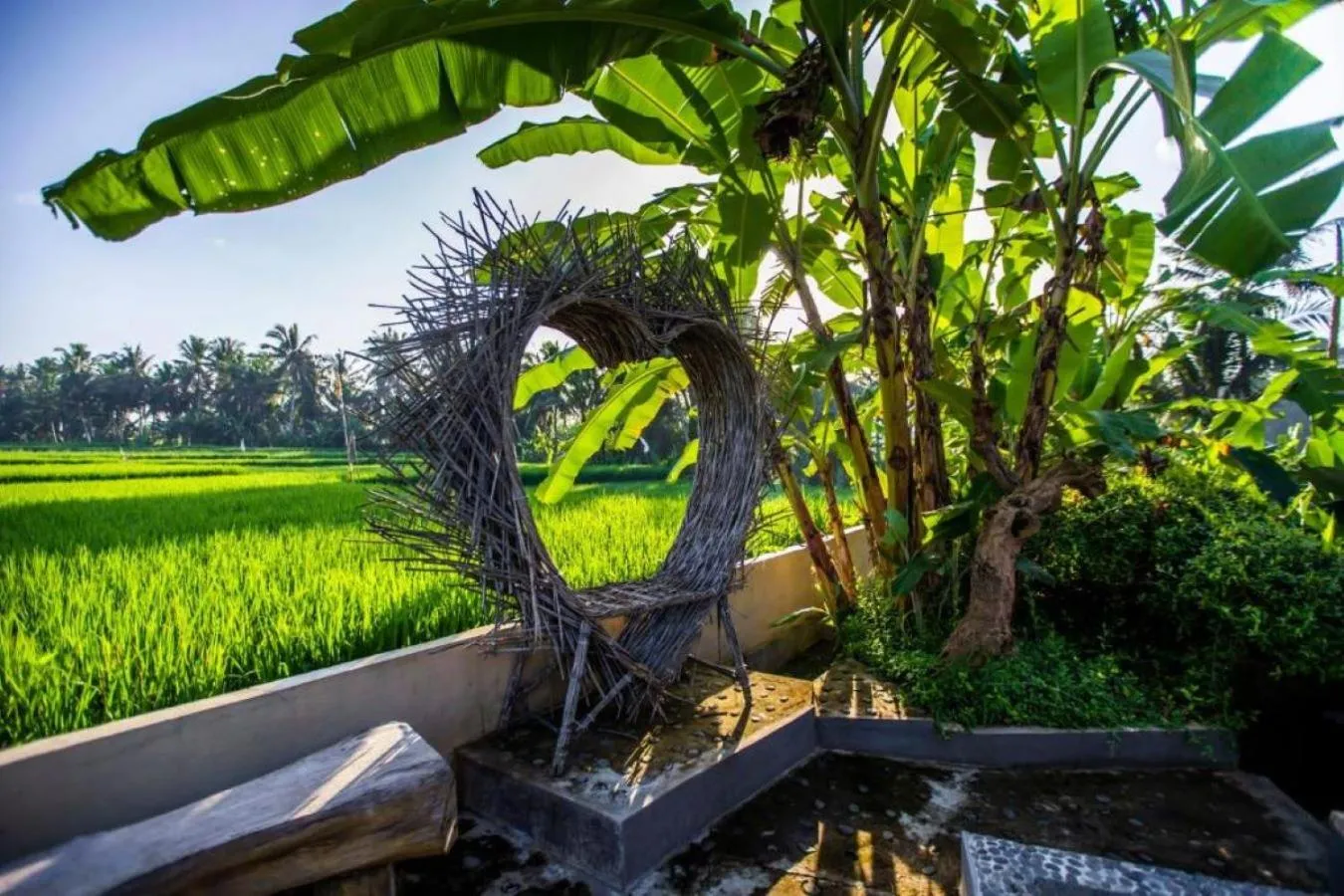 Natural landscape in Asri Sari Ubud Resort