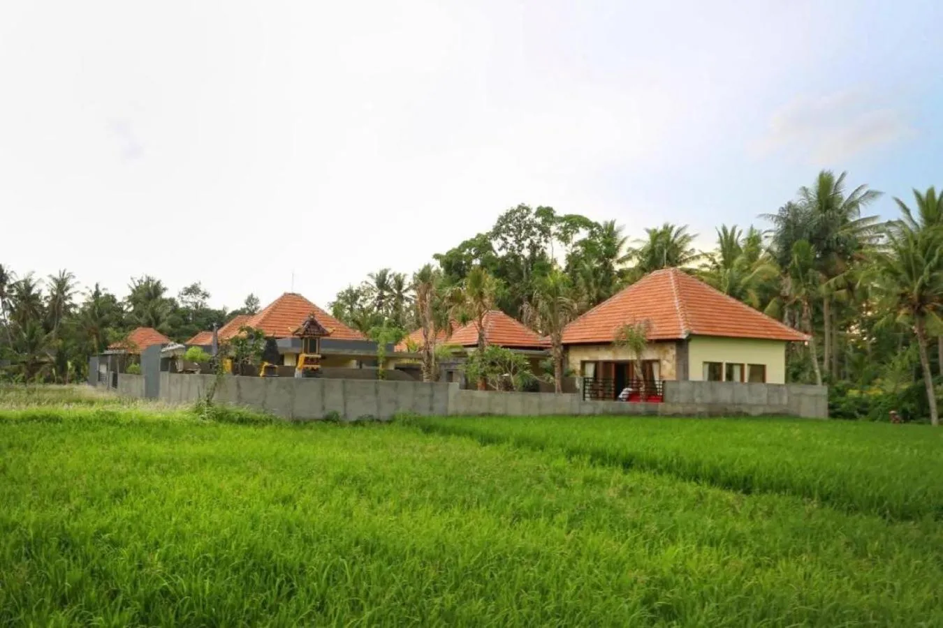 Natural landscape in Asri Sari Ubud Resort