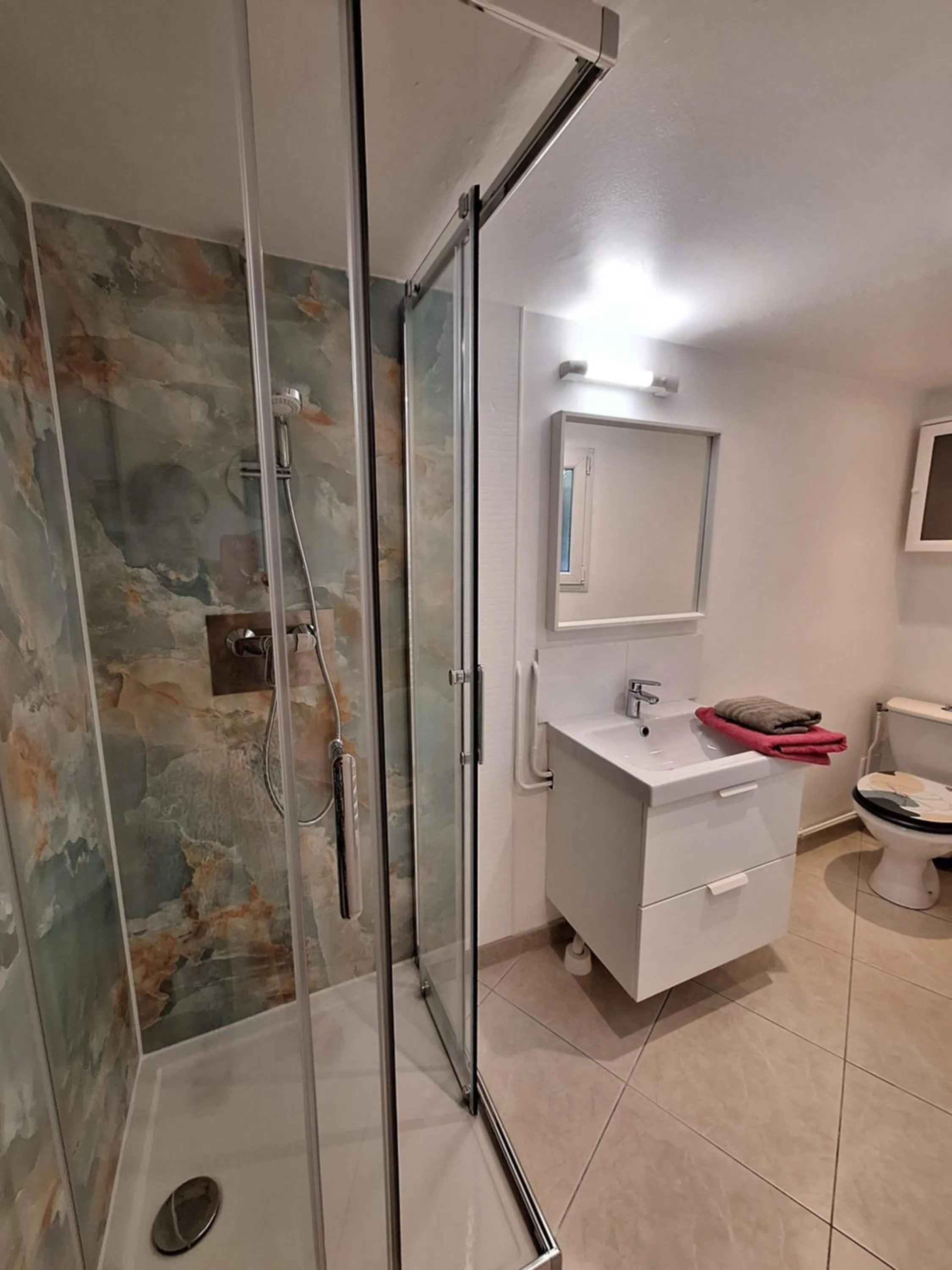 Shower in Studio d'Hôtes les Libellules