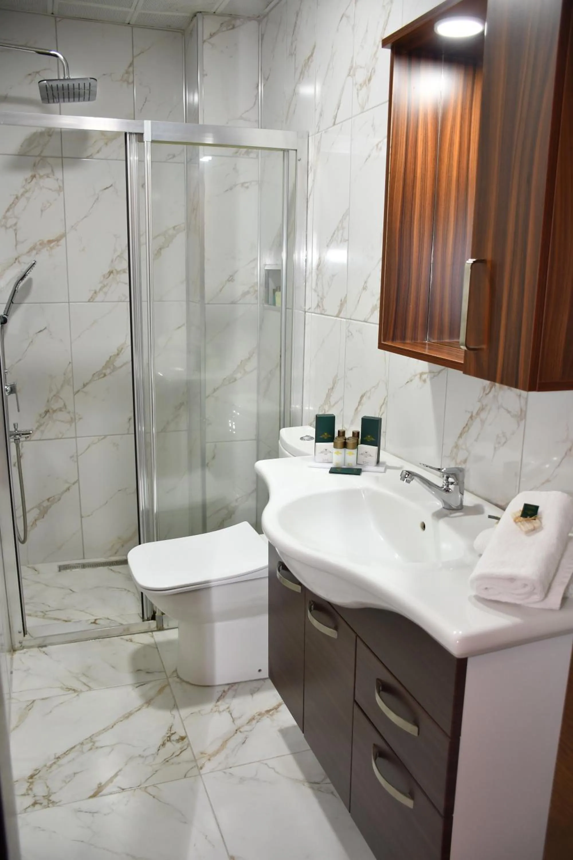 Shower in Katerina Palace 1877