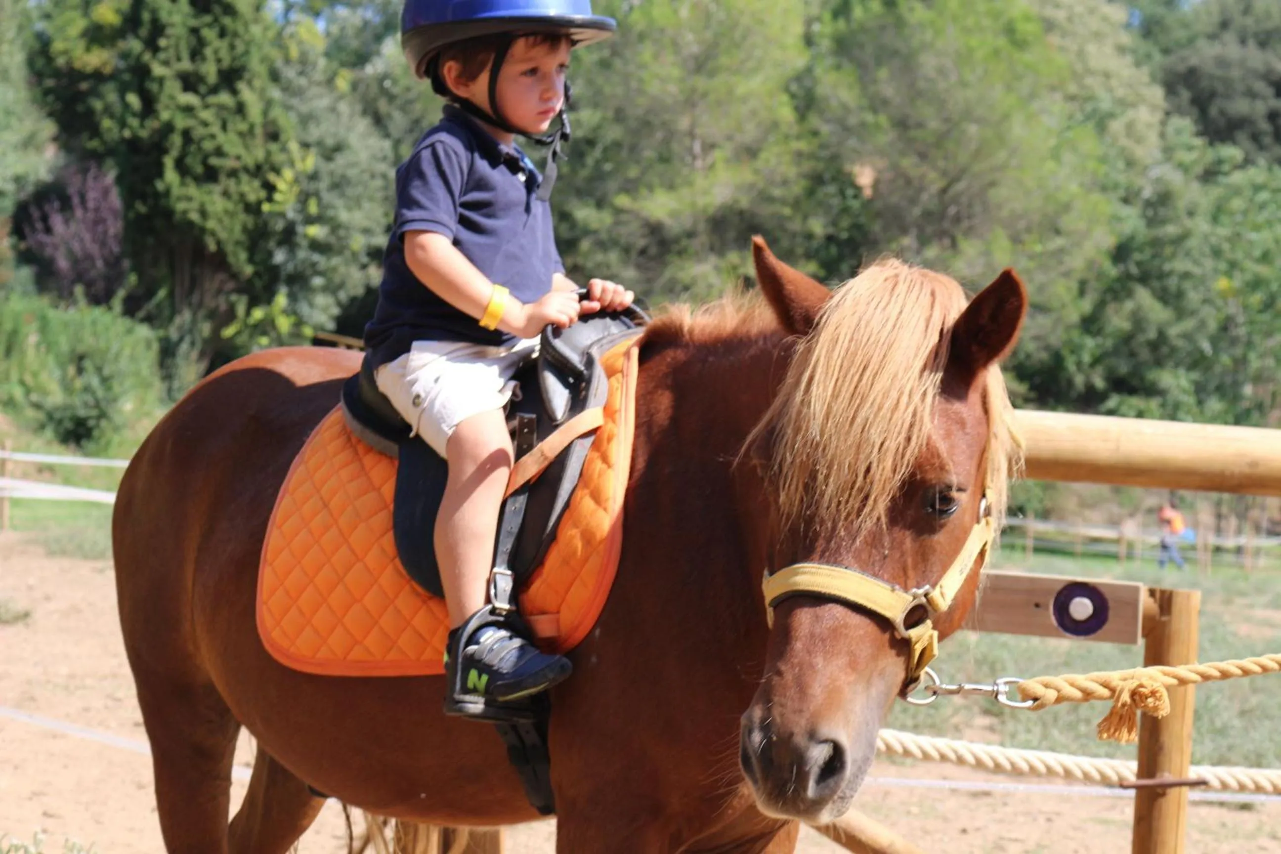 Horse-riding in Hotel Can Ribalta