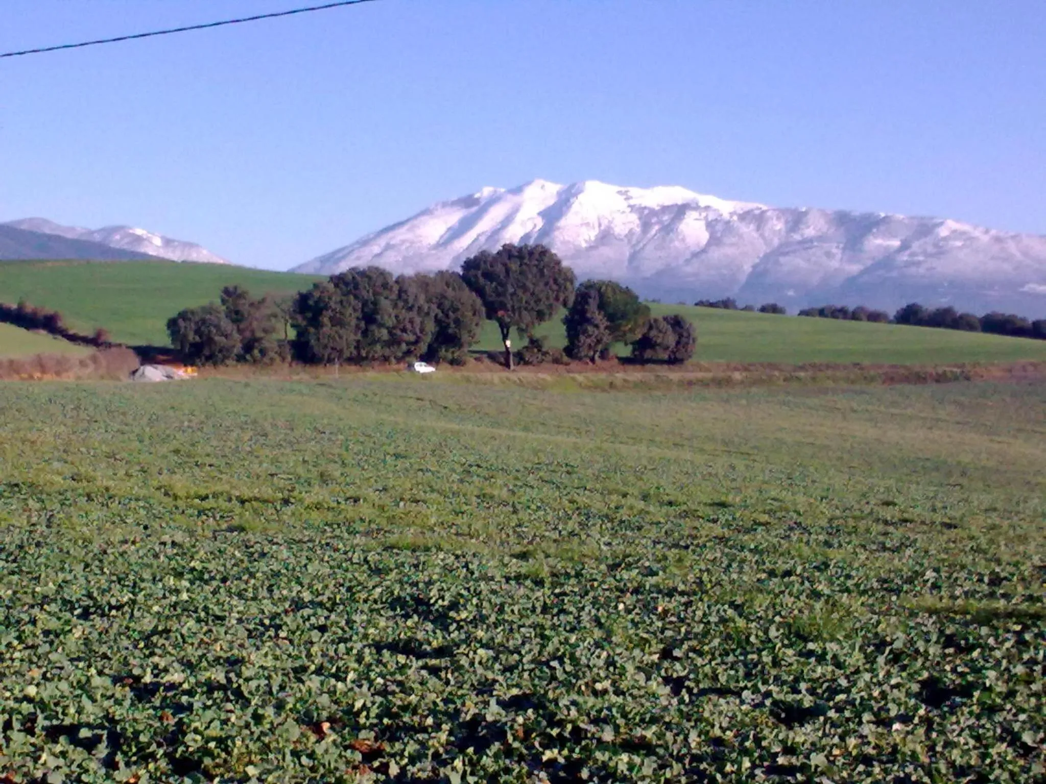 View (from property/room) in Hotel Can Ribalta