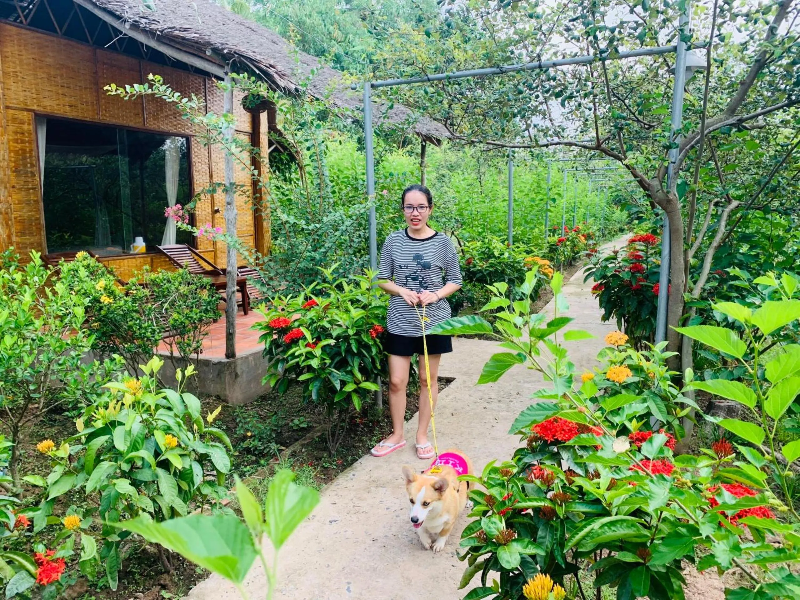 Mekong Ecolodge Bungalow
