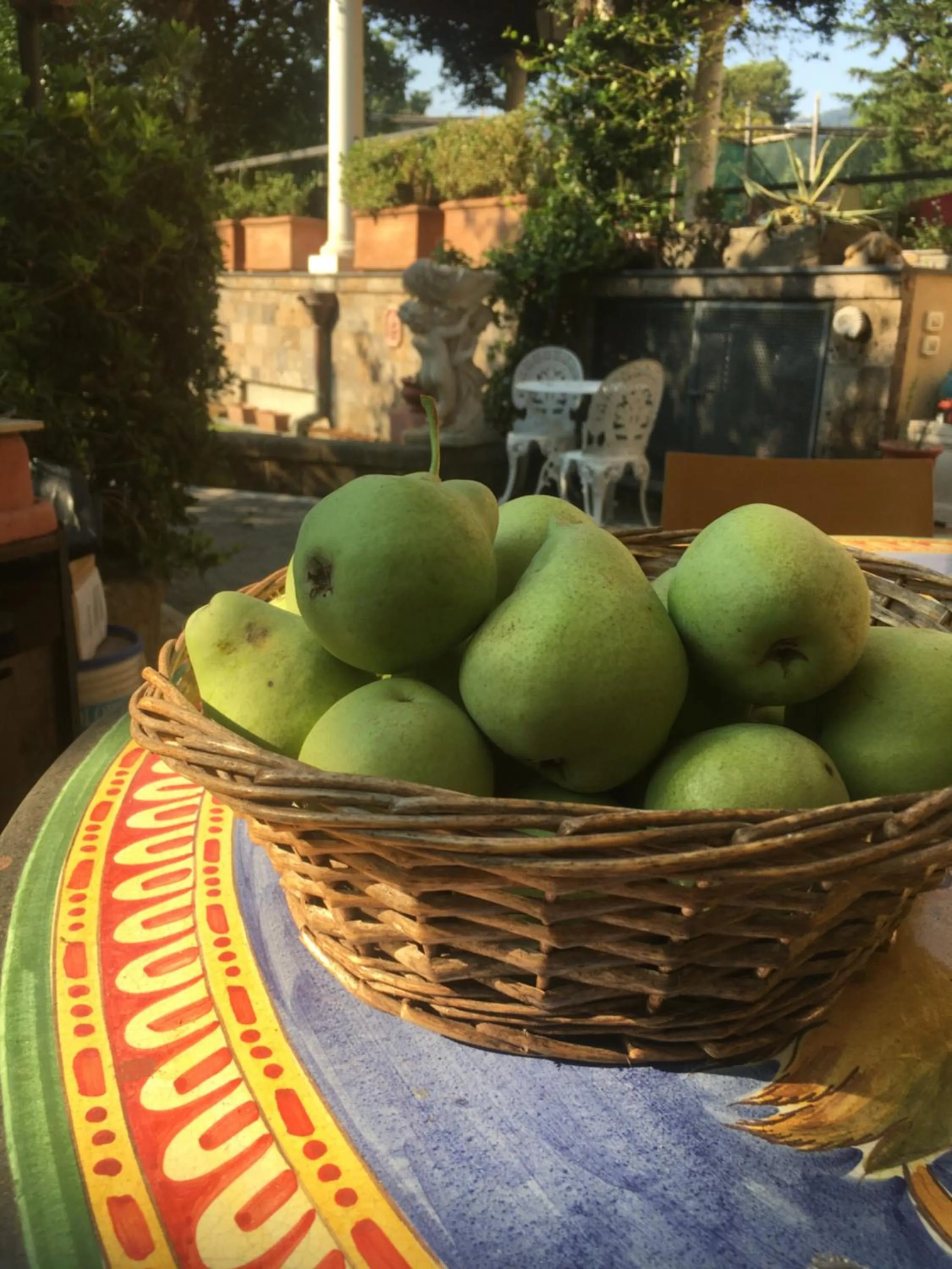 Garden view in Domus Felix