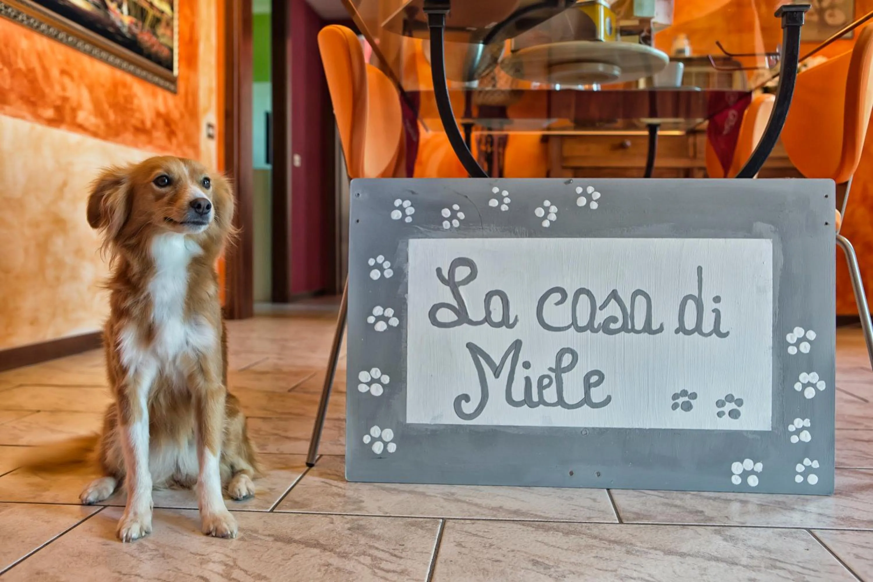 Pets in La Casa Di Miele