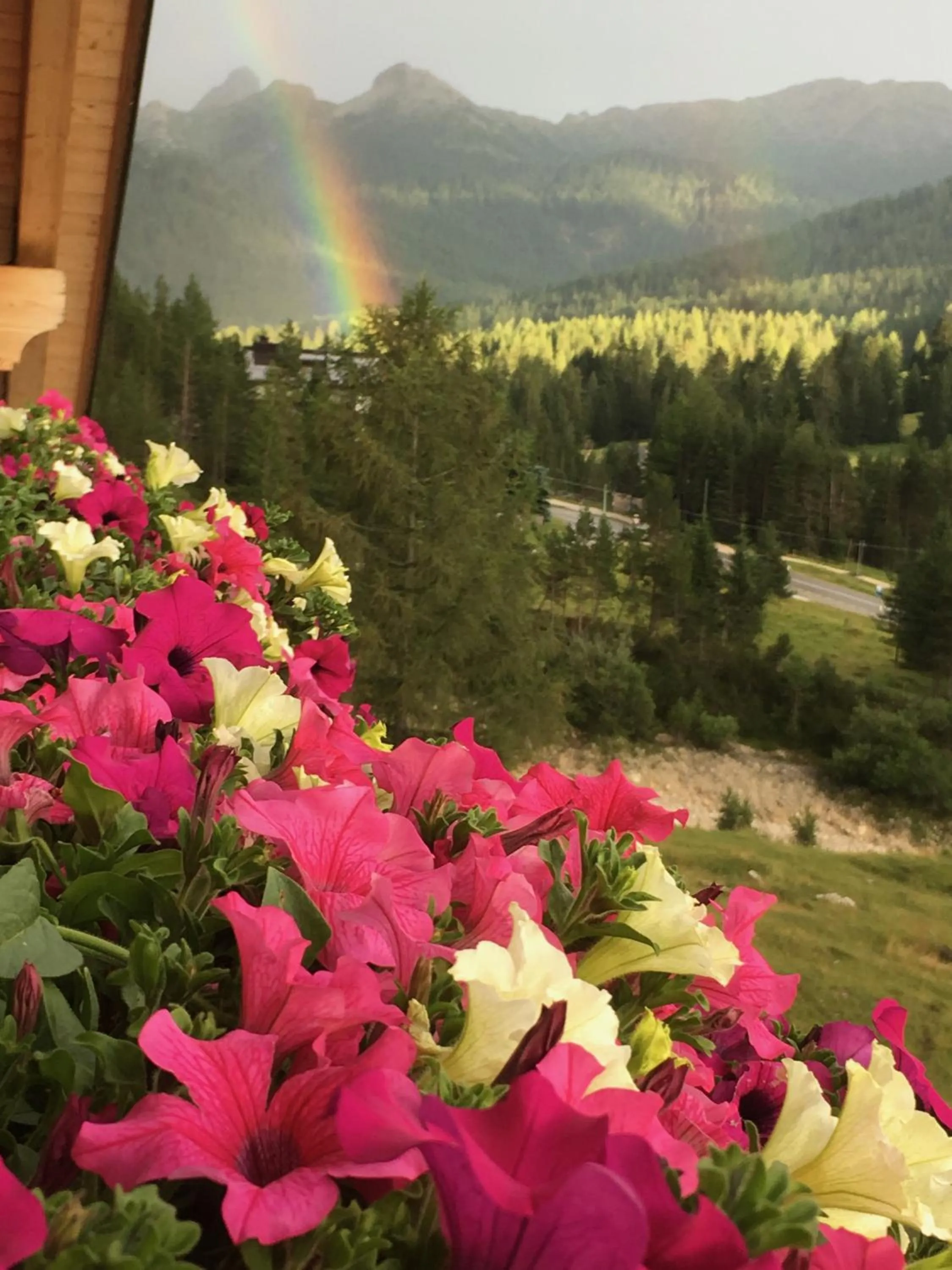 Summer in Garni Baita