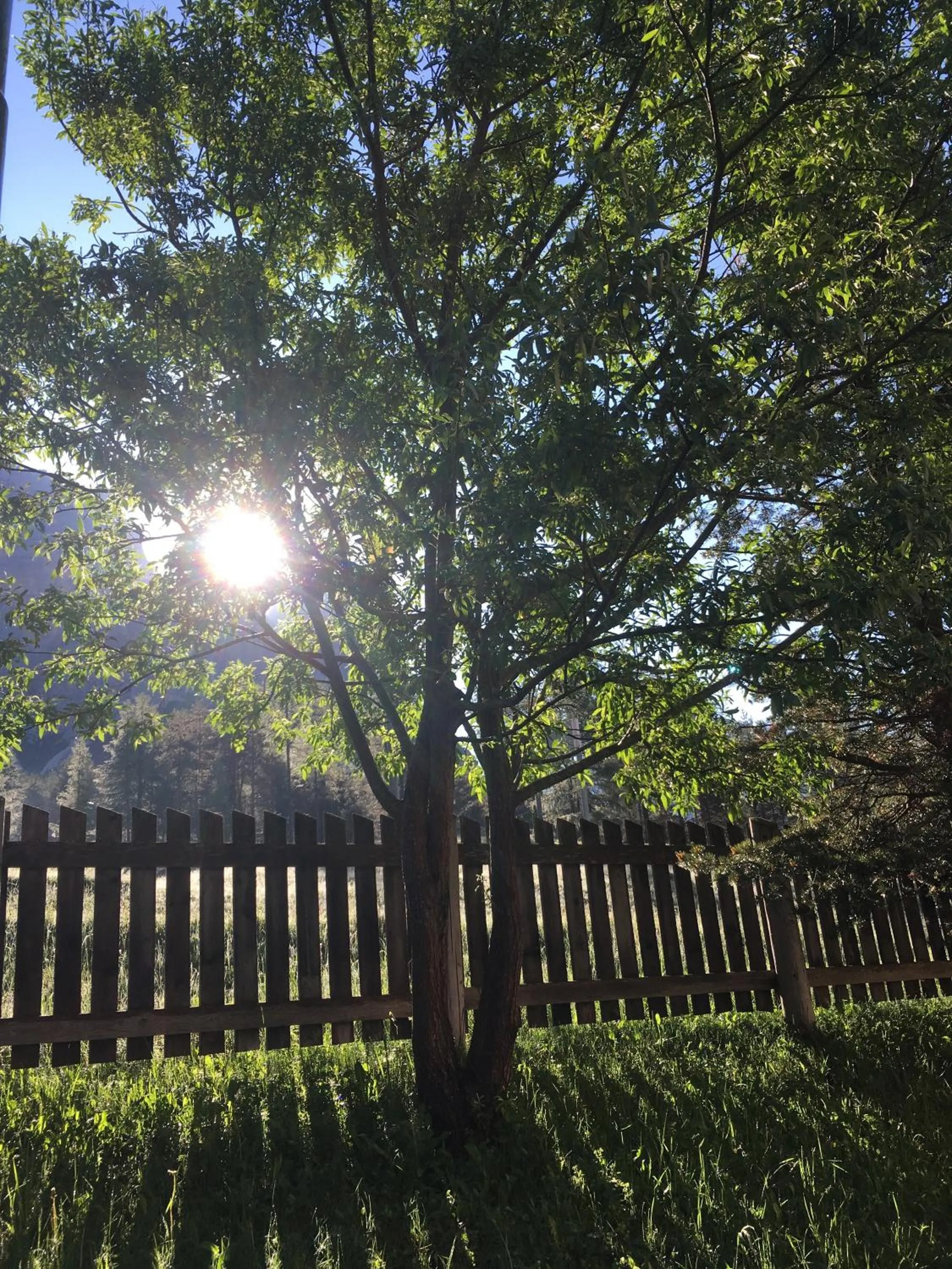 Sunrise in Garni Baita