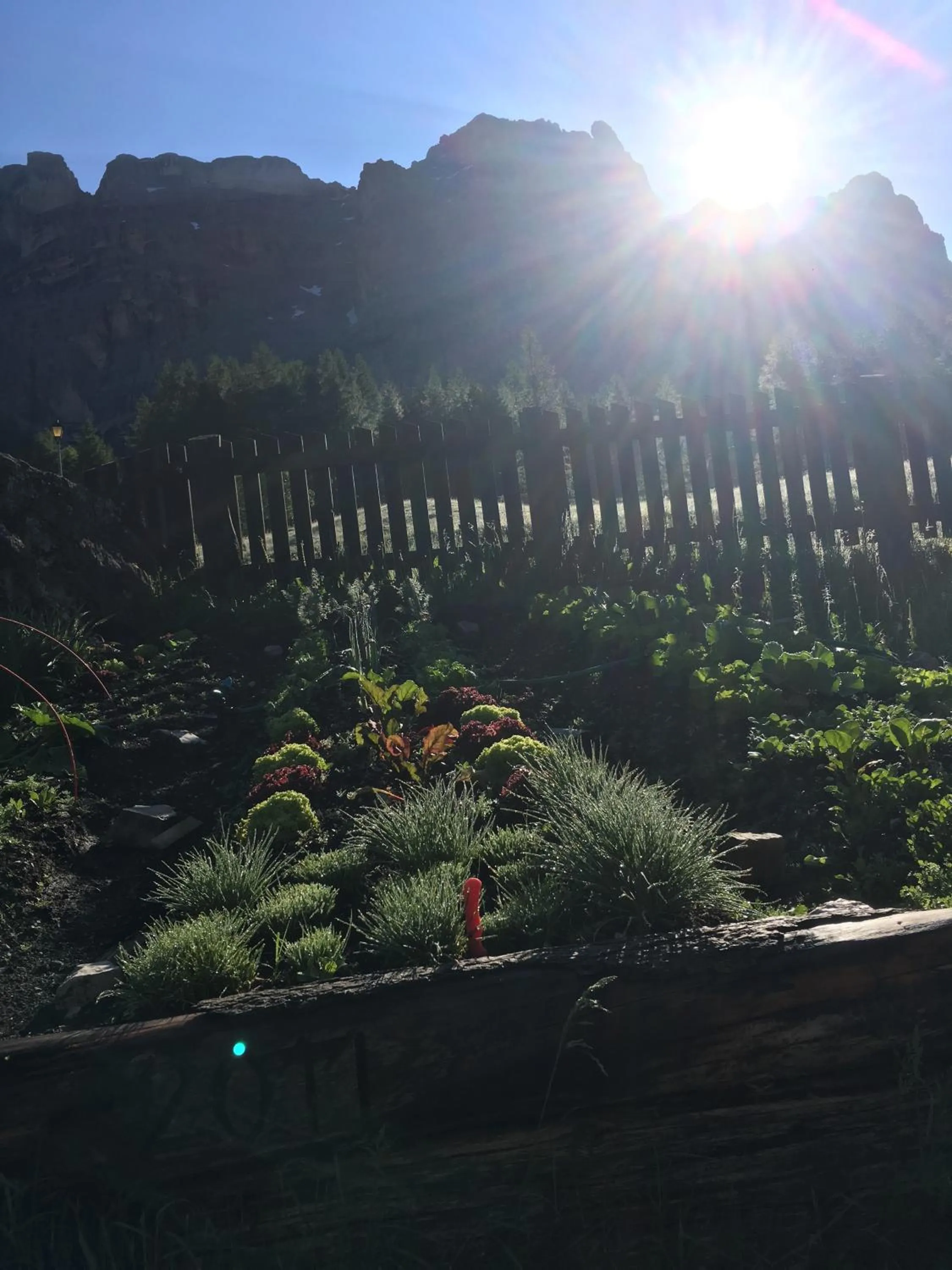 Summer in Garni Baita