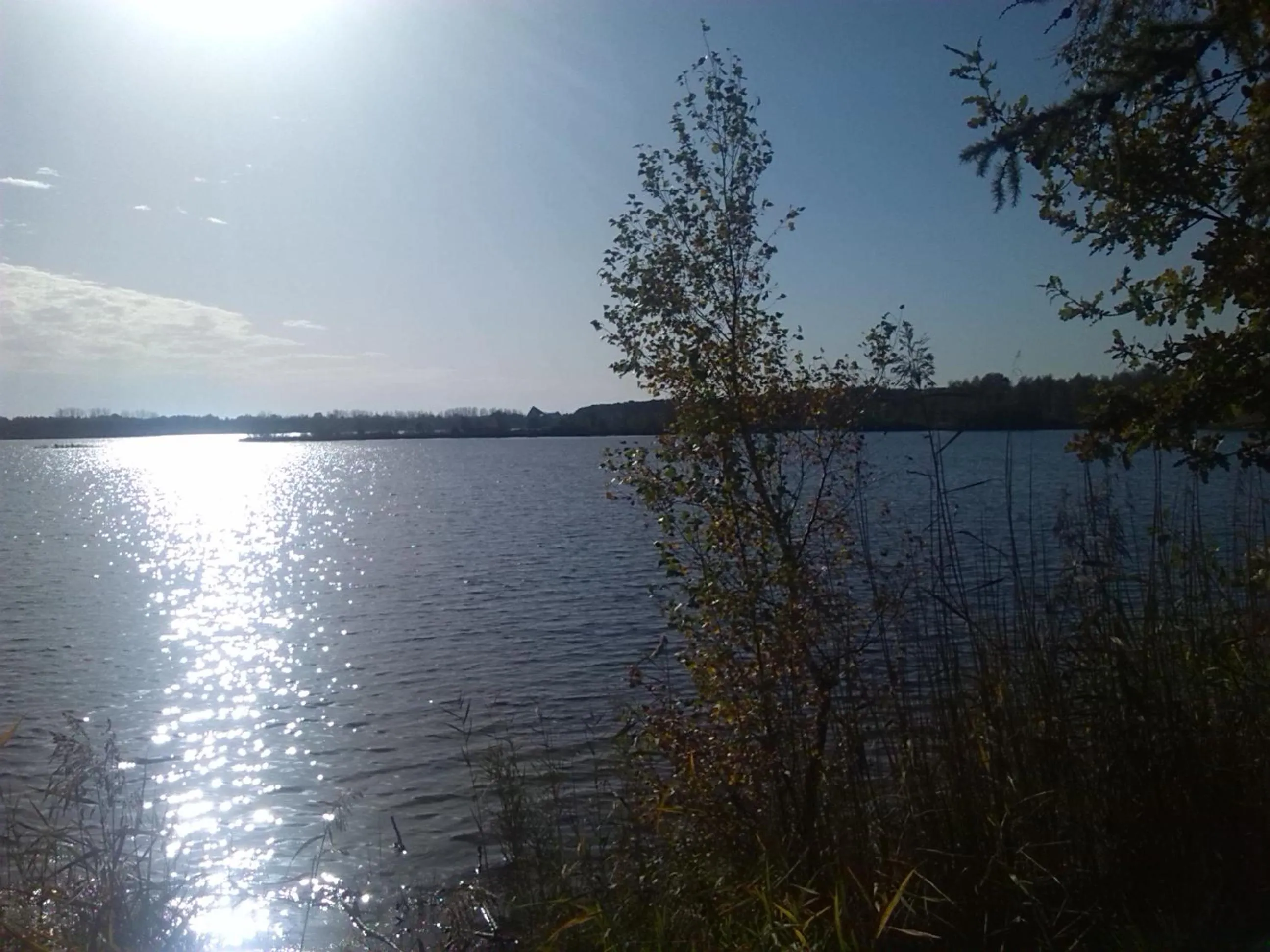 Natural landscape in B&B Molmento