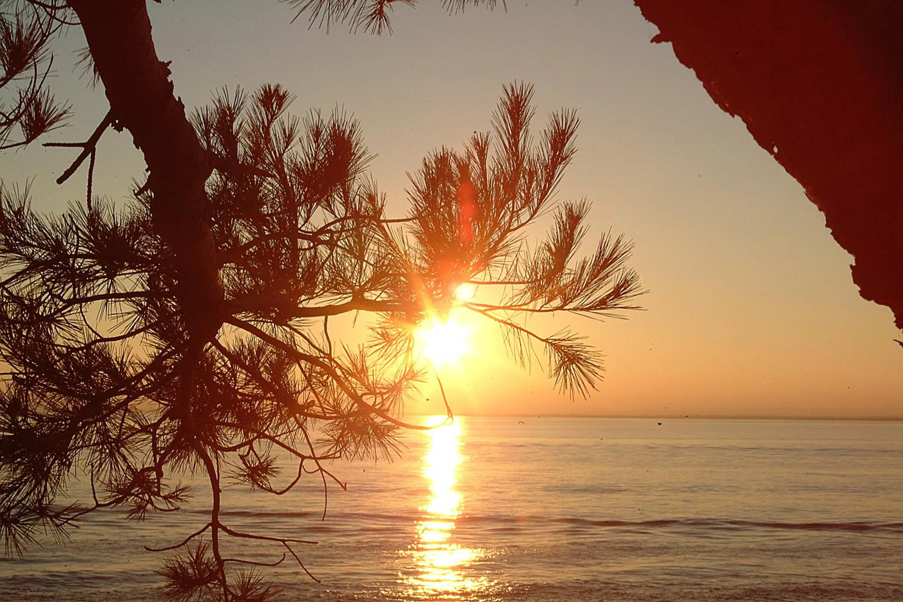 Sea view in Hotel Vela