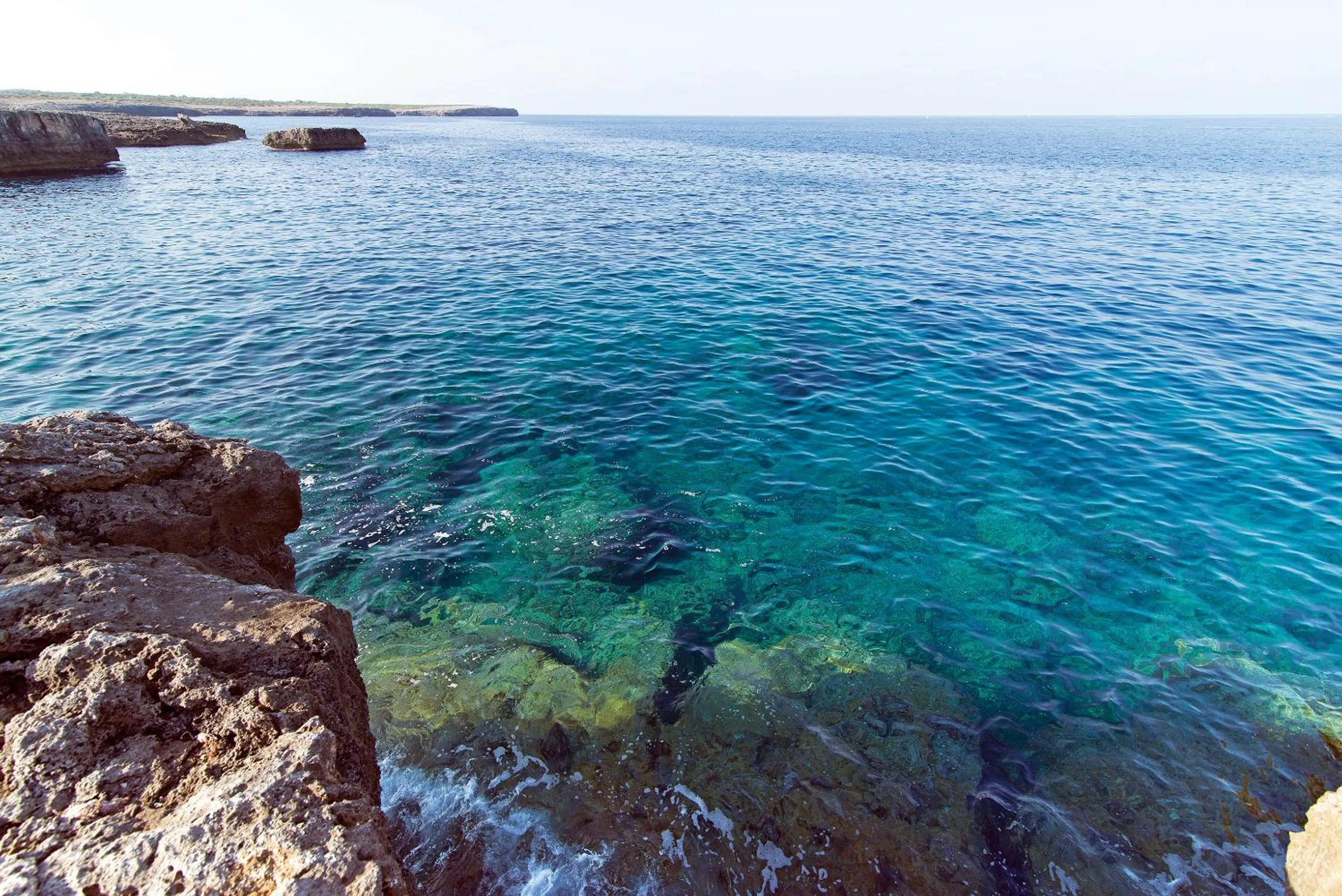 Beach in Apartamentos Cala Blanca