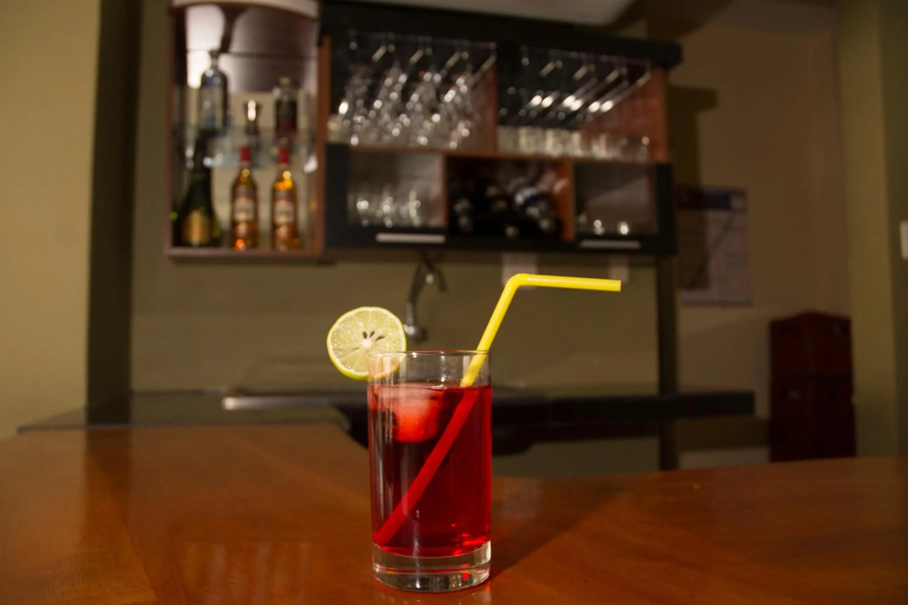 Lounge or bar in Hotel Jhor Bush