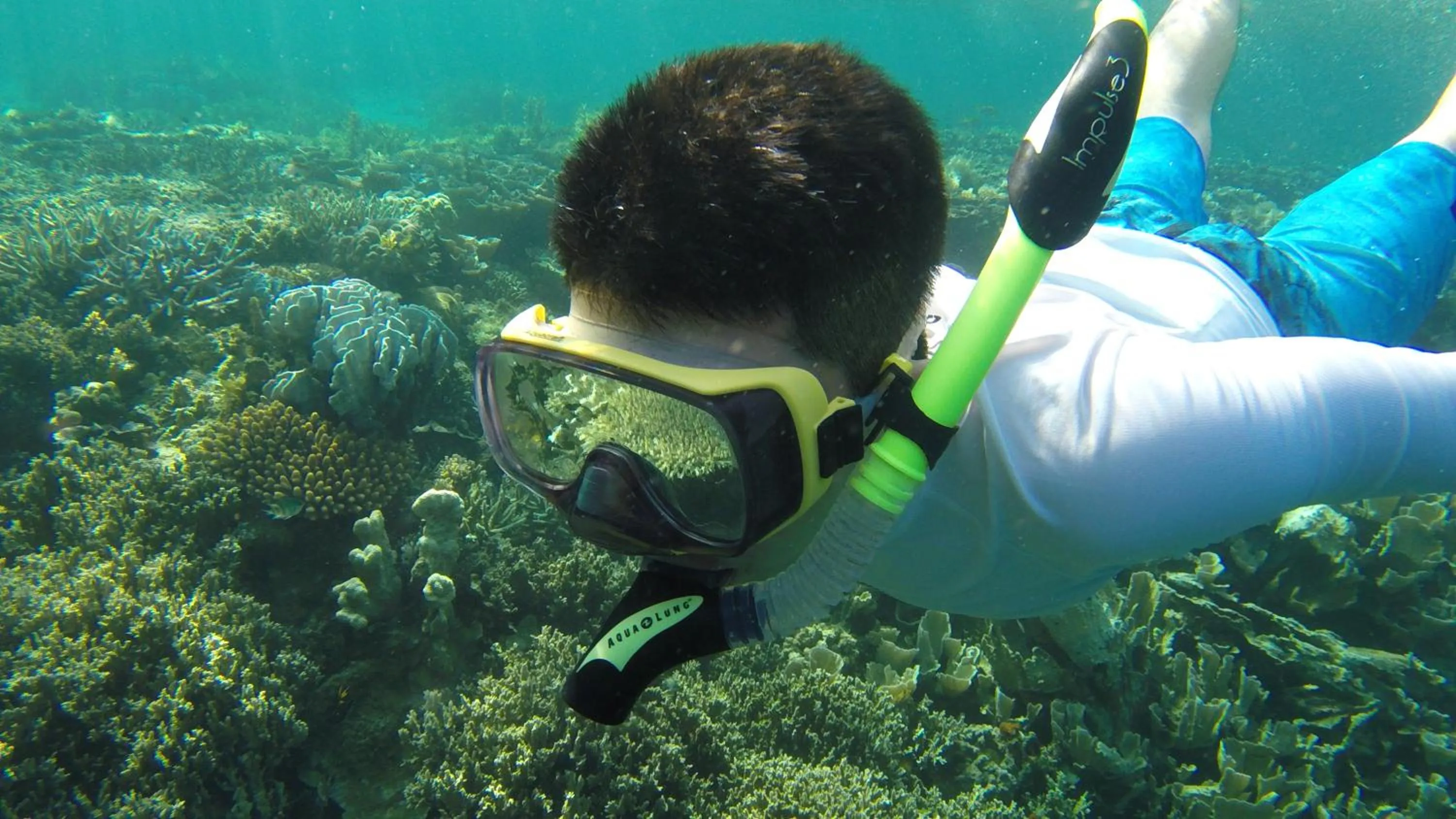 Snorkeling in NoaNoa Private Island