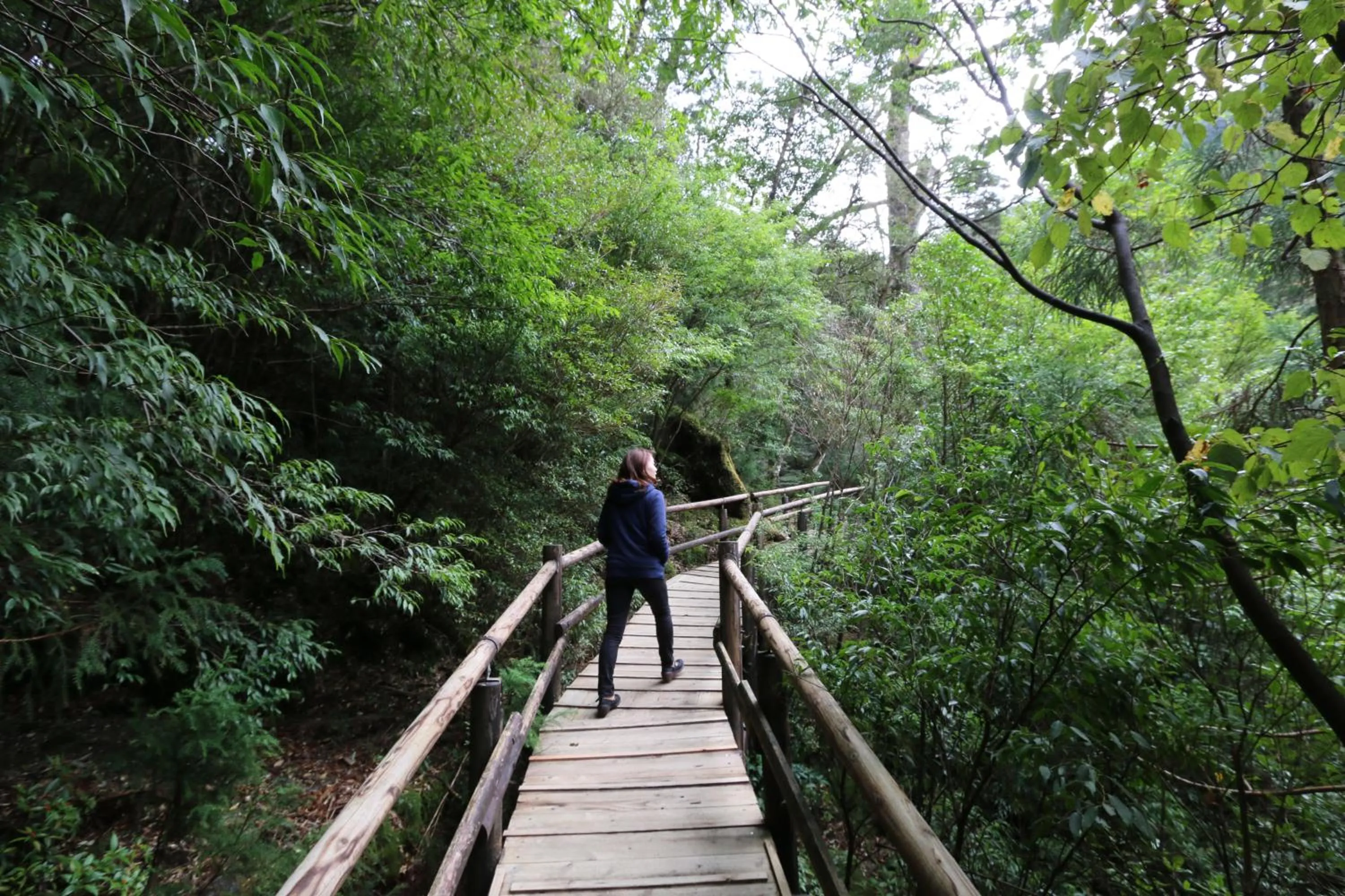 Natural landscape in Miyanouraso