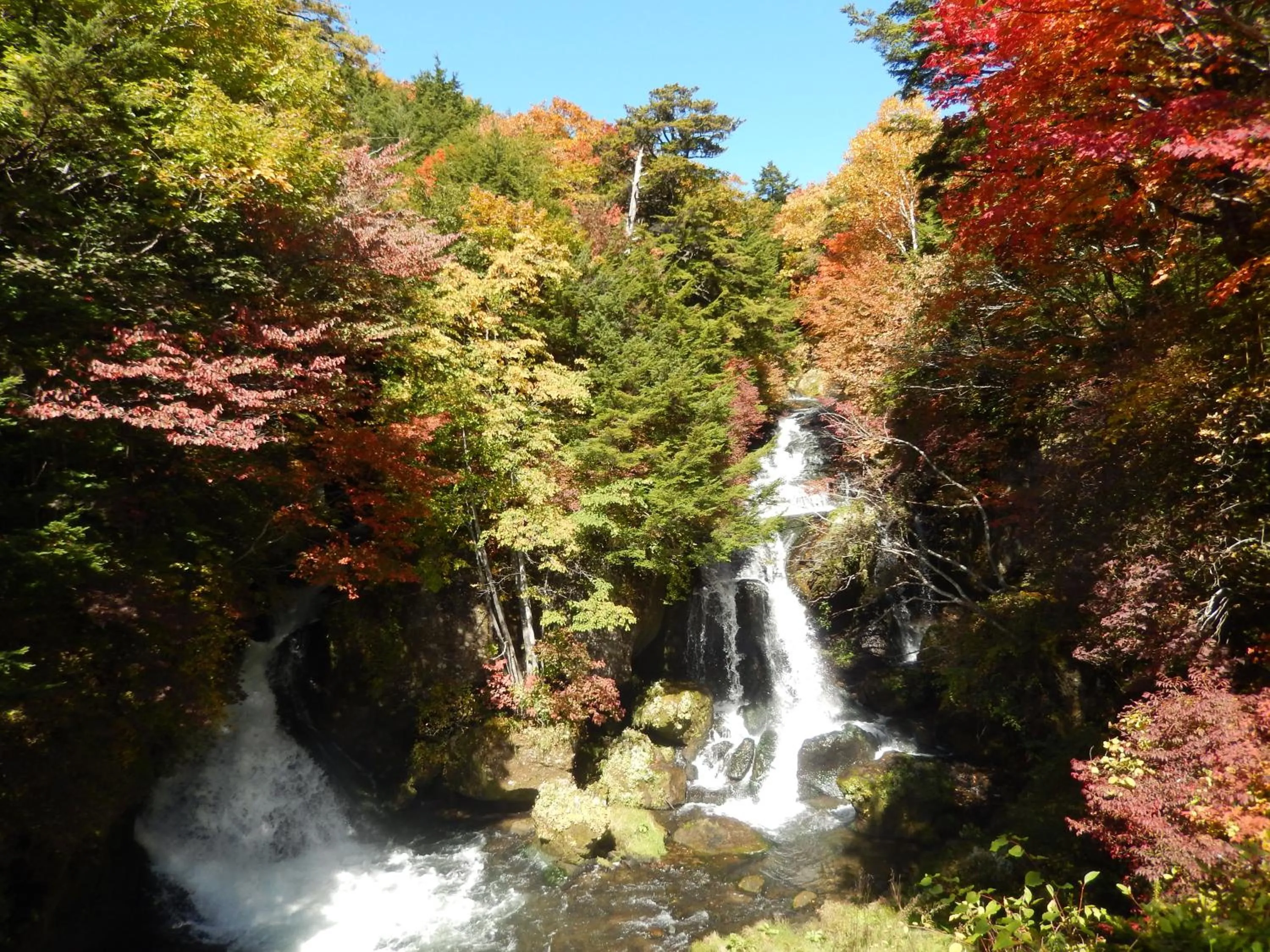 Autumn in Nikko Astraea Hotel