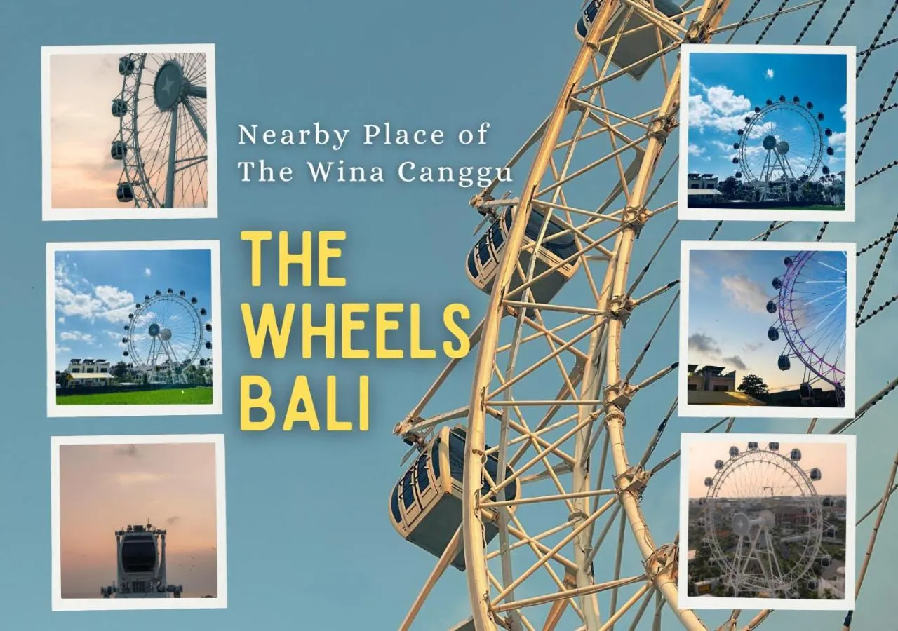 Activities in The Wina Villa Canggu by The Wina Resorts