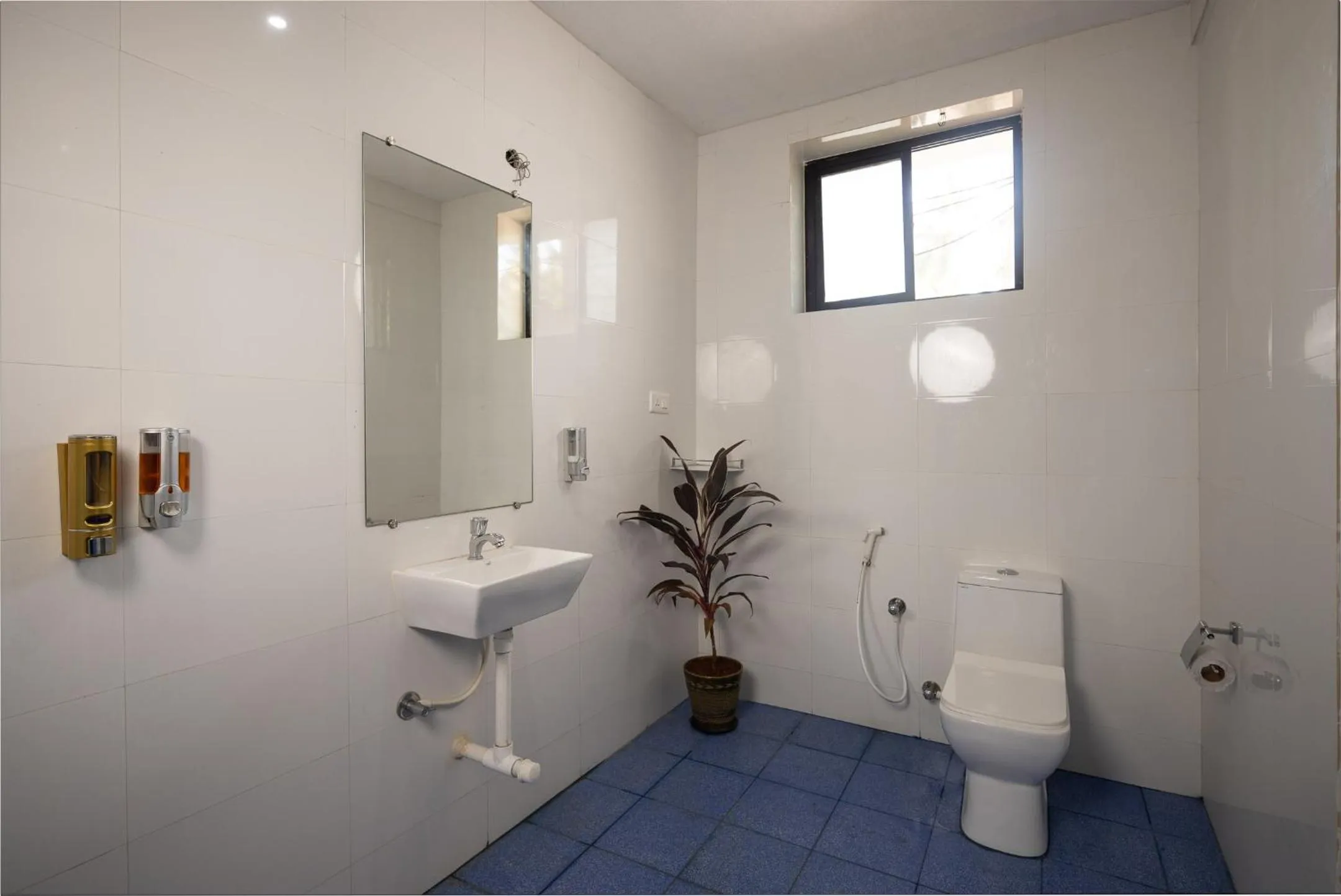 Forget Me Not Resort