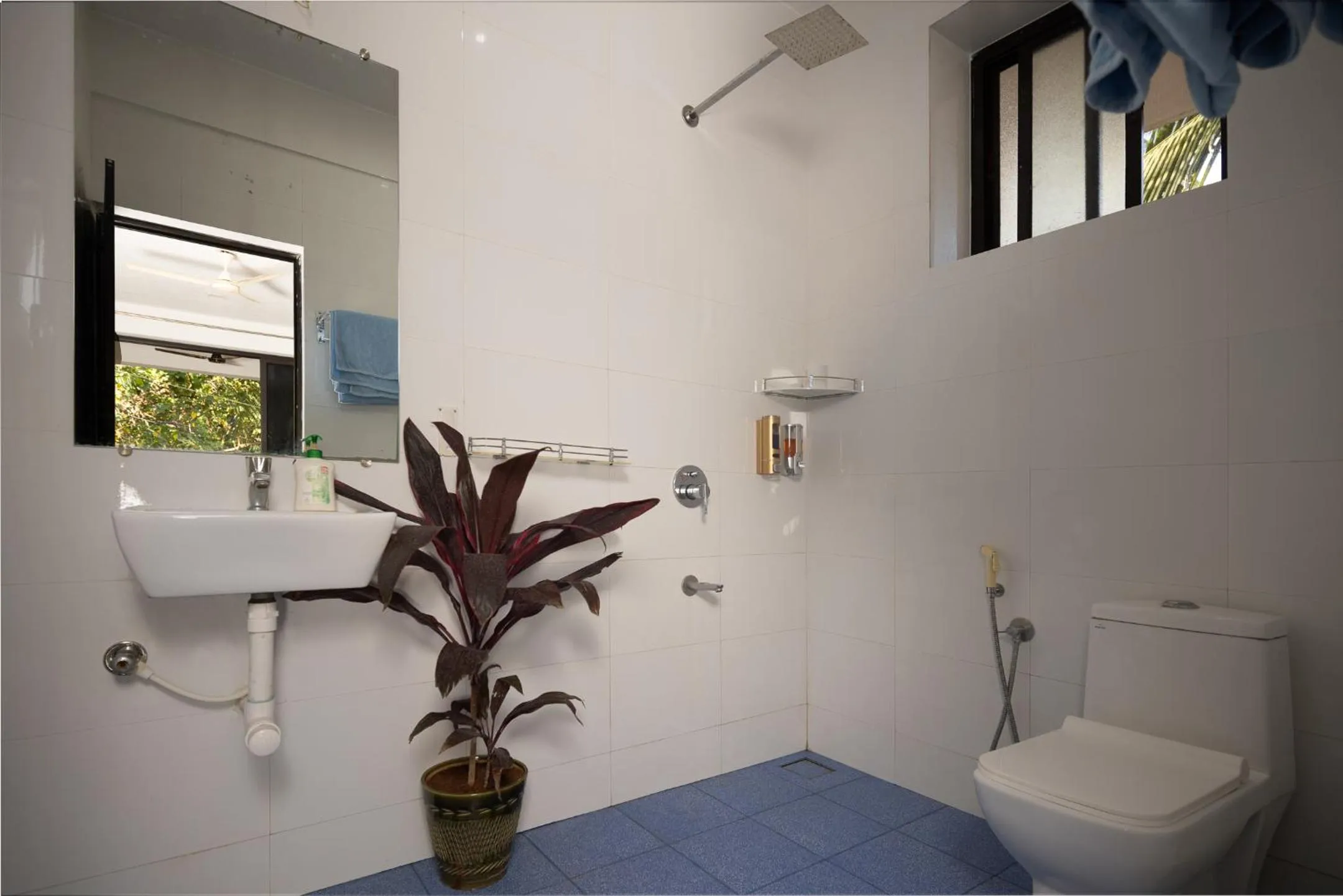 Forget Me Not Resort