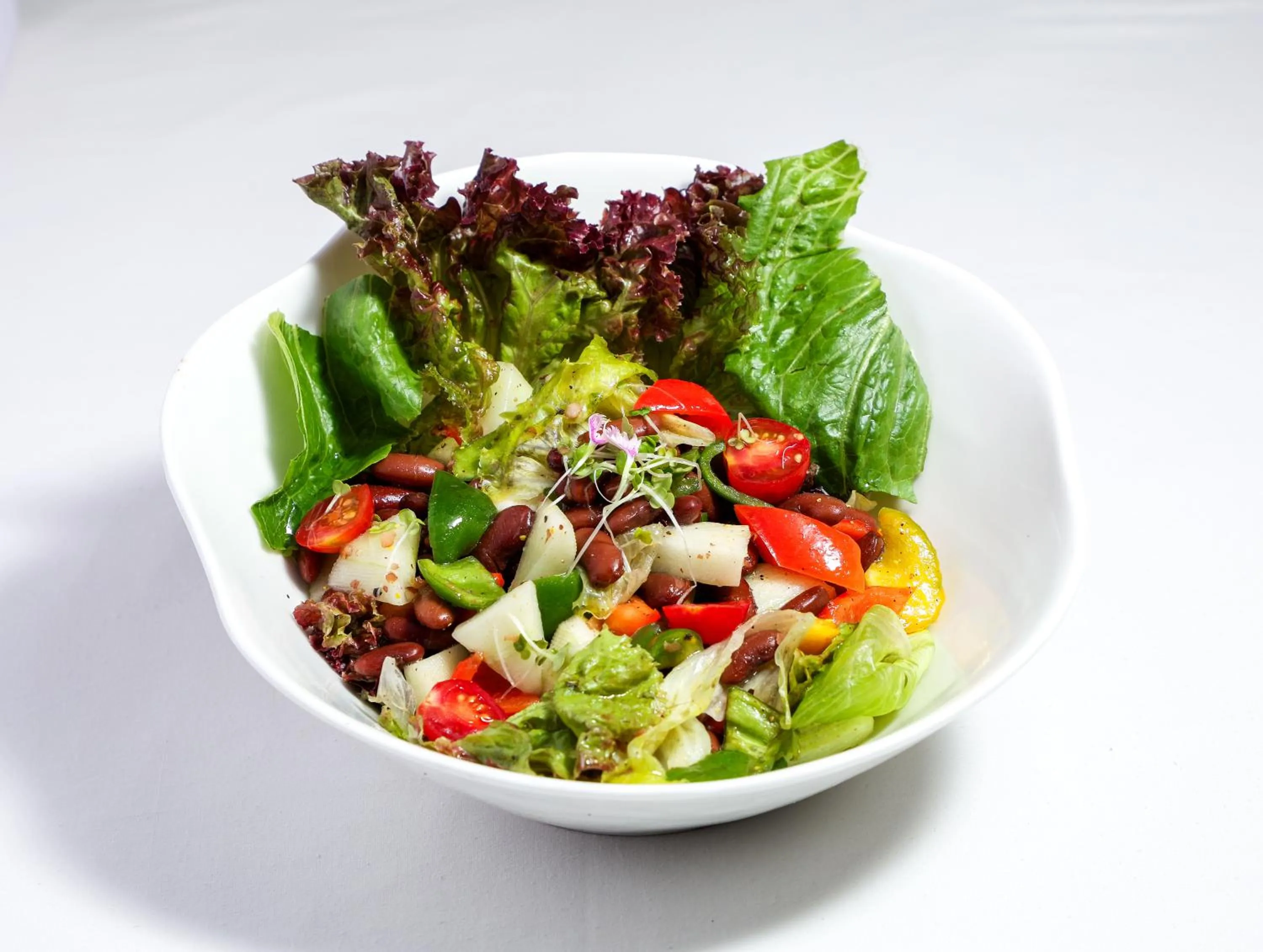 Food close-up in Orchid Passaros Benaulim Goa - Adults Only