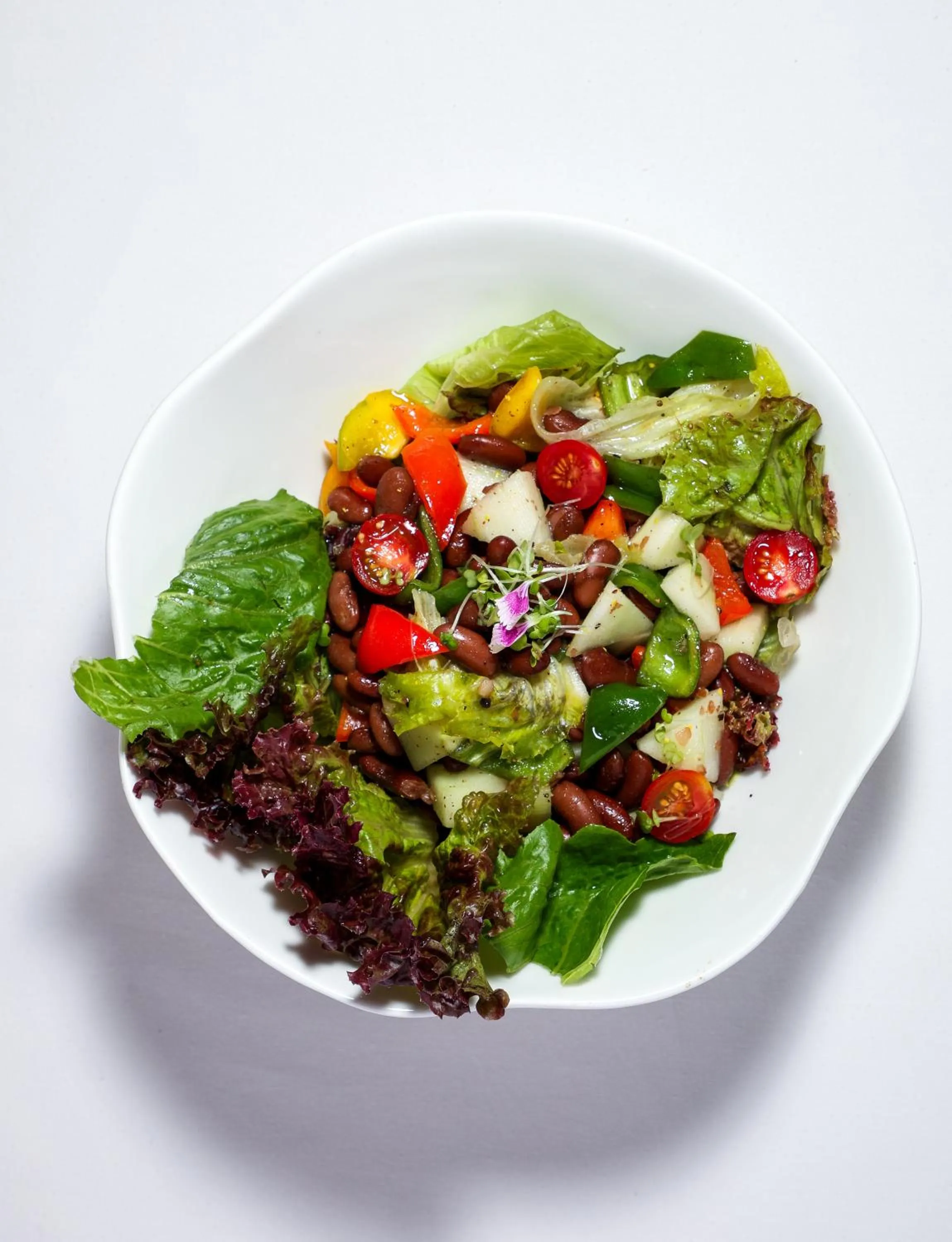 Food close-up in Orchid Passaros Benaulim Goa - Adults Only