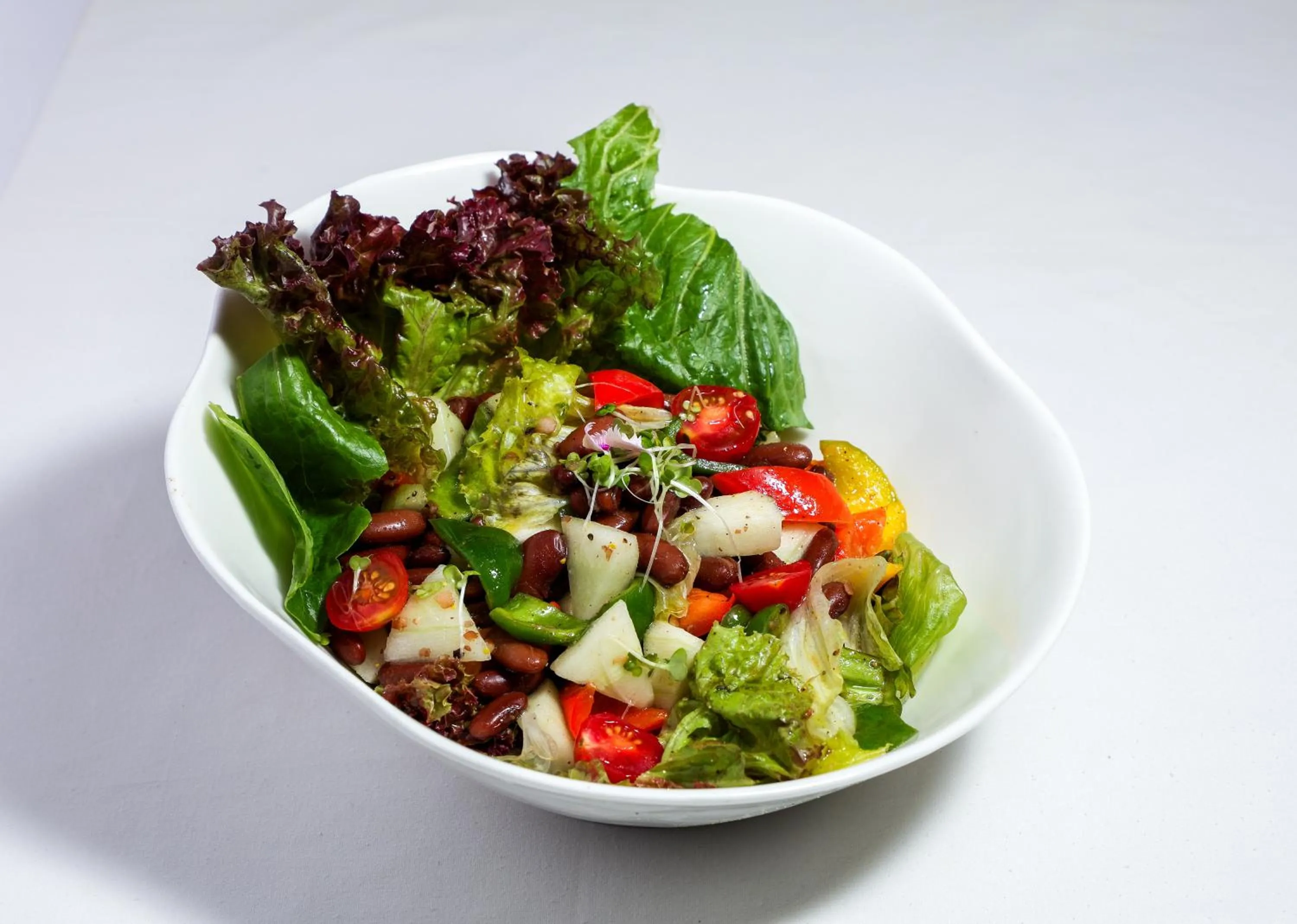 Food close-up in Orchid Passaros Benaulim Goa - Adults Only