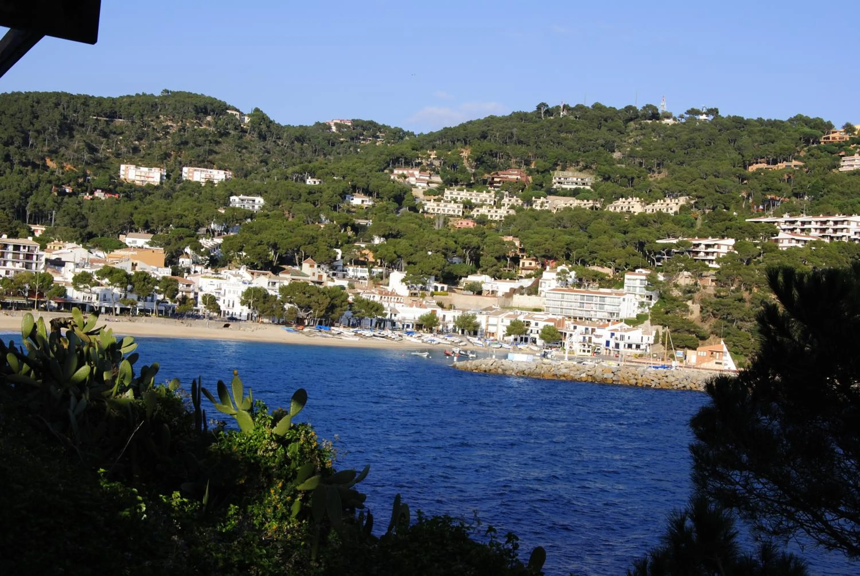 Fishing in La Muntanya