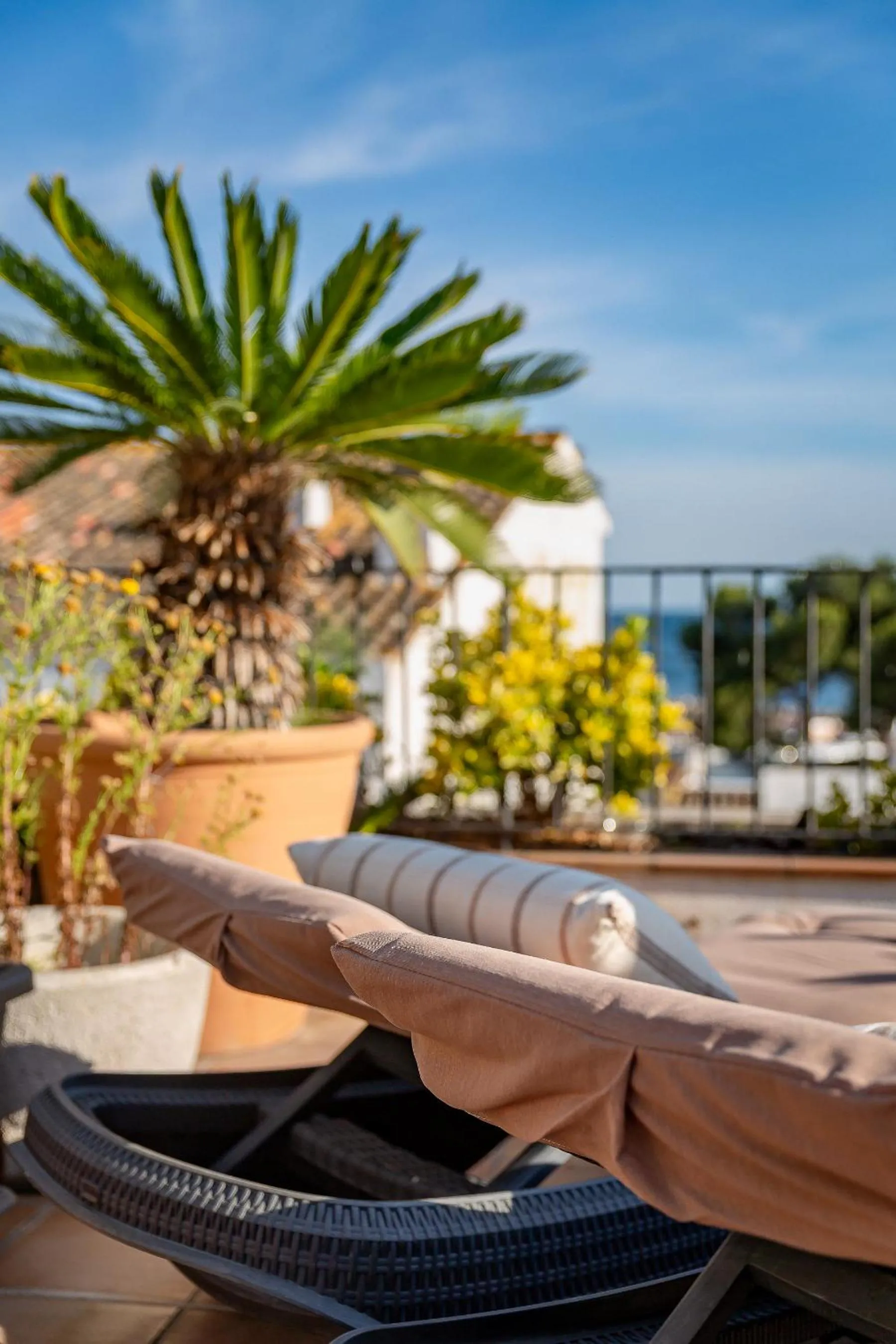 Balcony/Terrace in La Muntanya