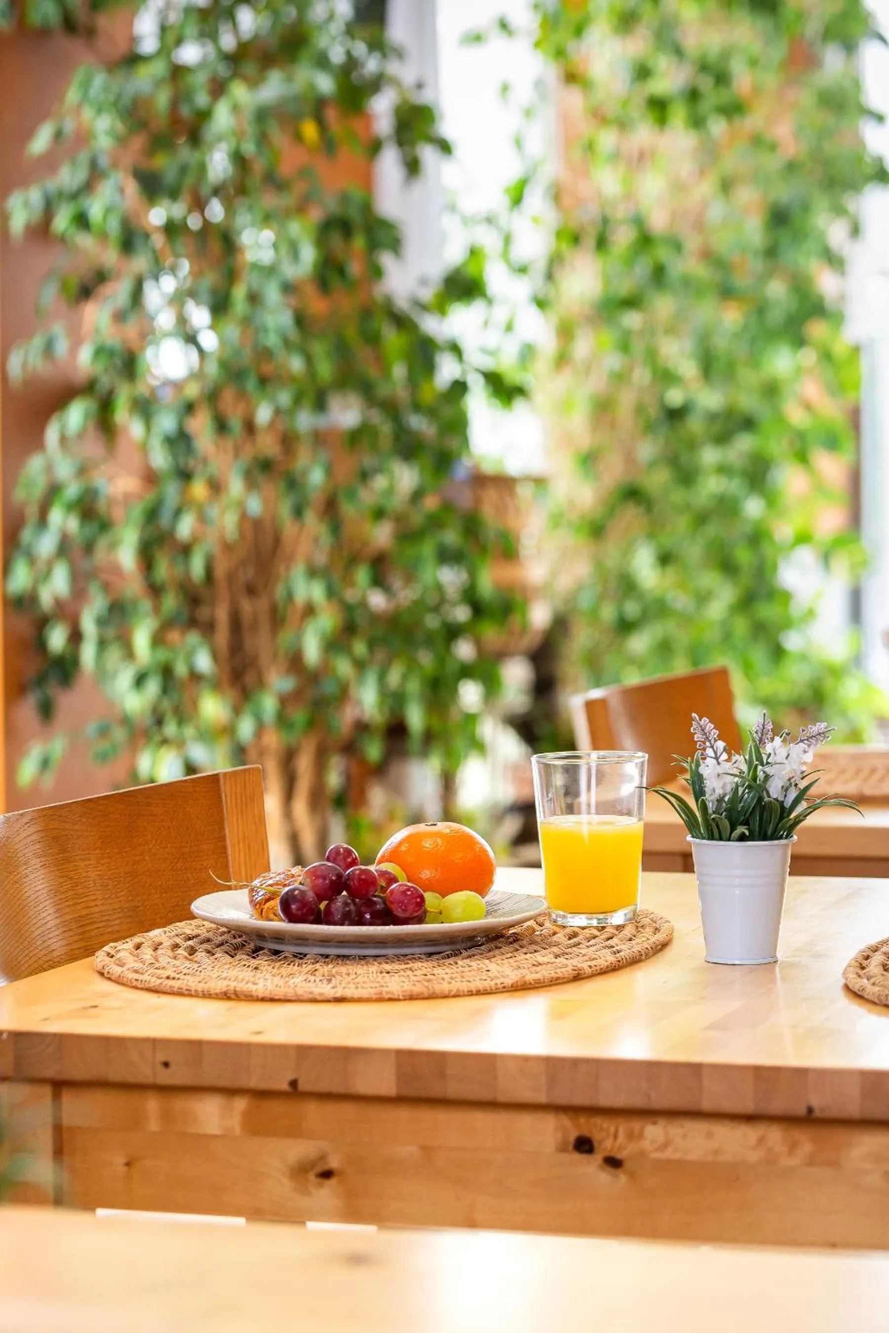 Breakfast in La Muntanya