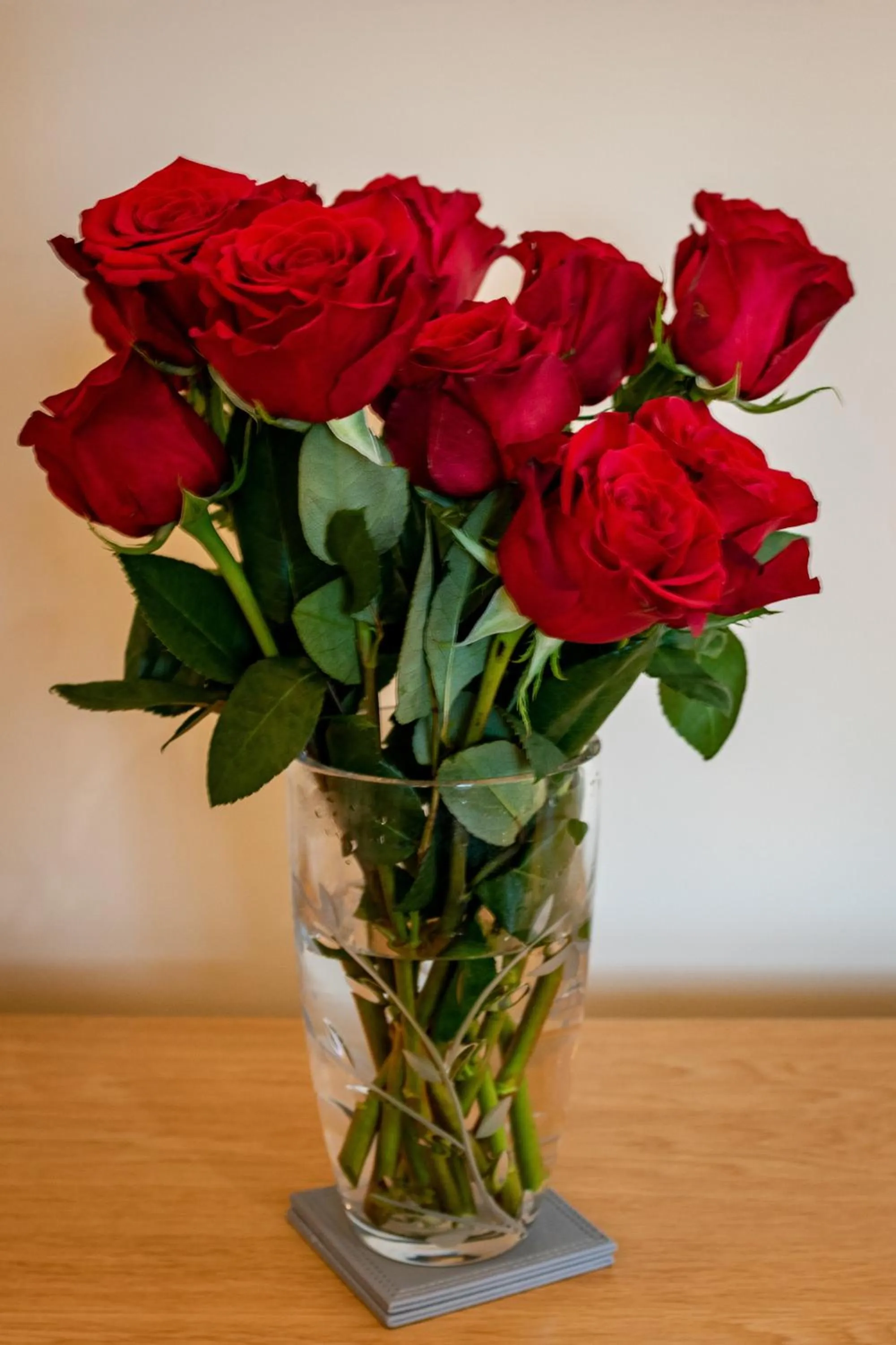 Decorative detail in Abbey Apartments Modern ApartHotel for Tourists & Professionals