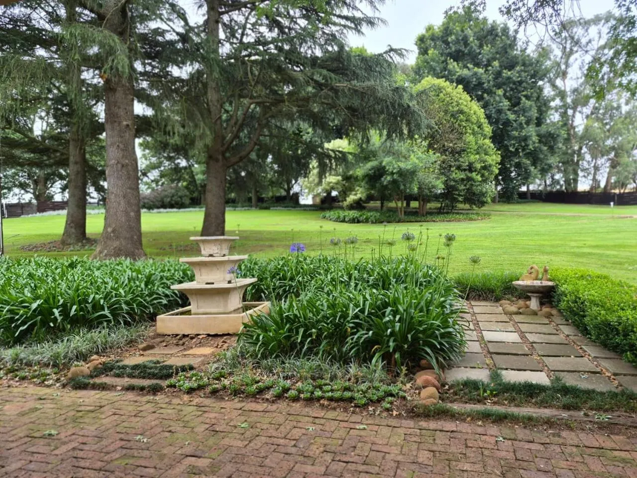 Drinkwater Guest Farm