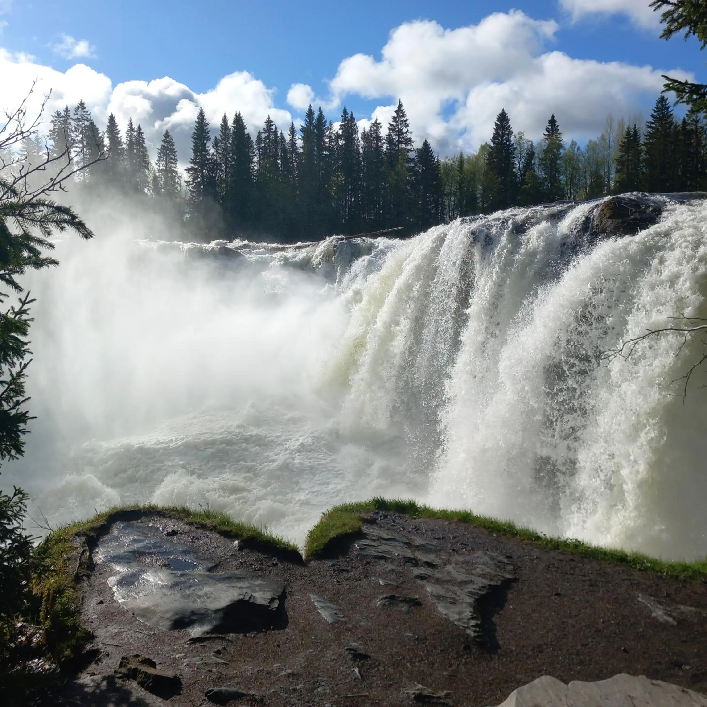 View (from property/room) in Ristafallets Camping