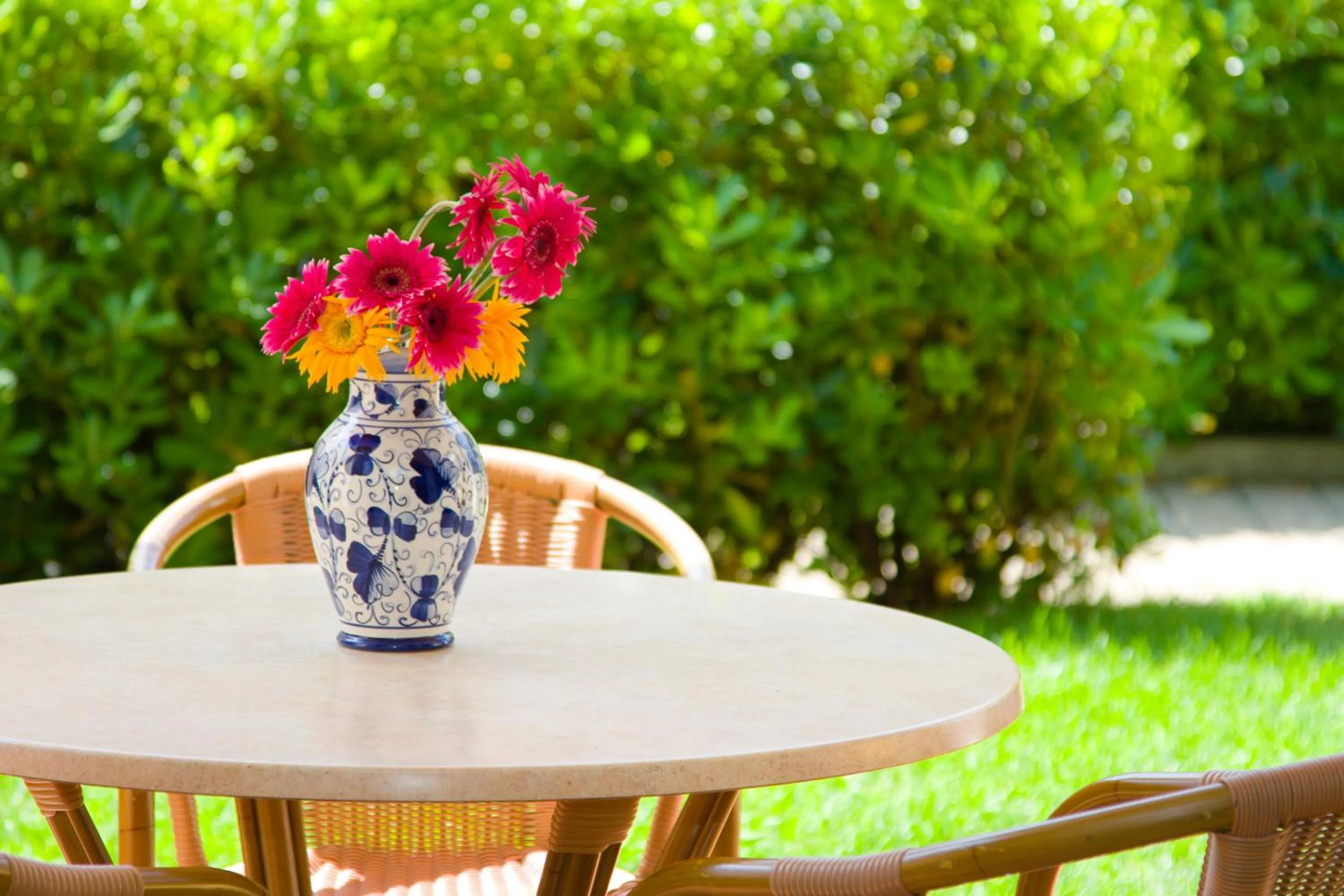 Patio in Residence I Giardini Del Conero