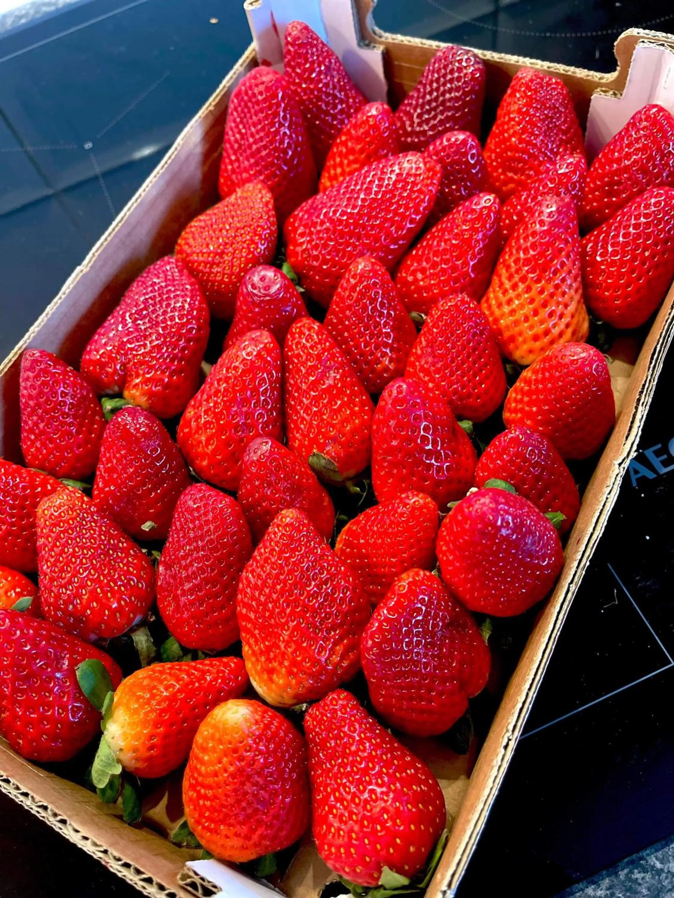 Breakfast in B&B de Wiekeborg