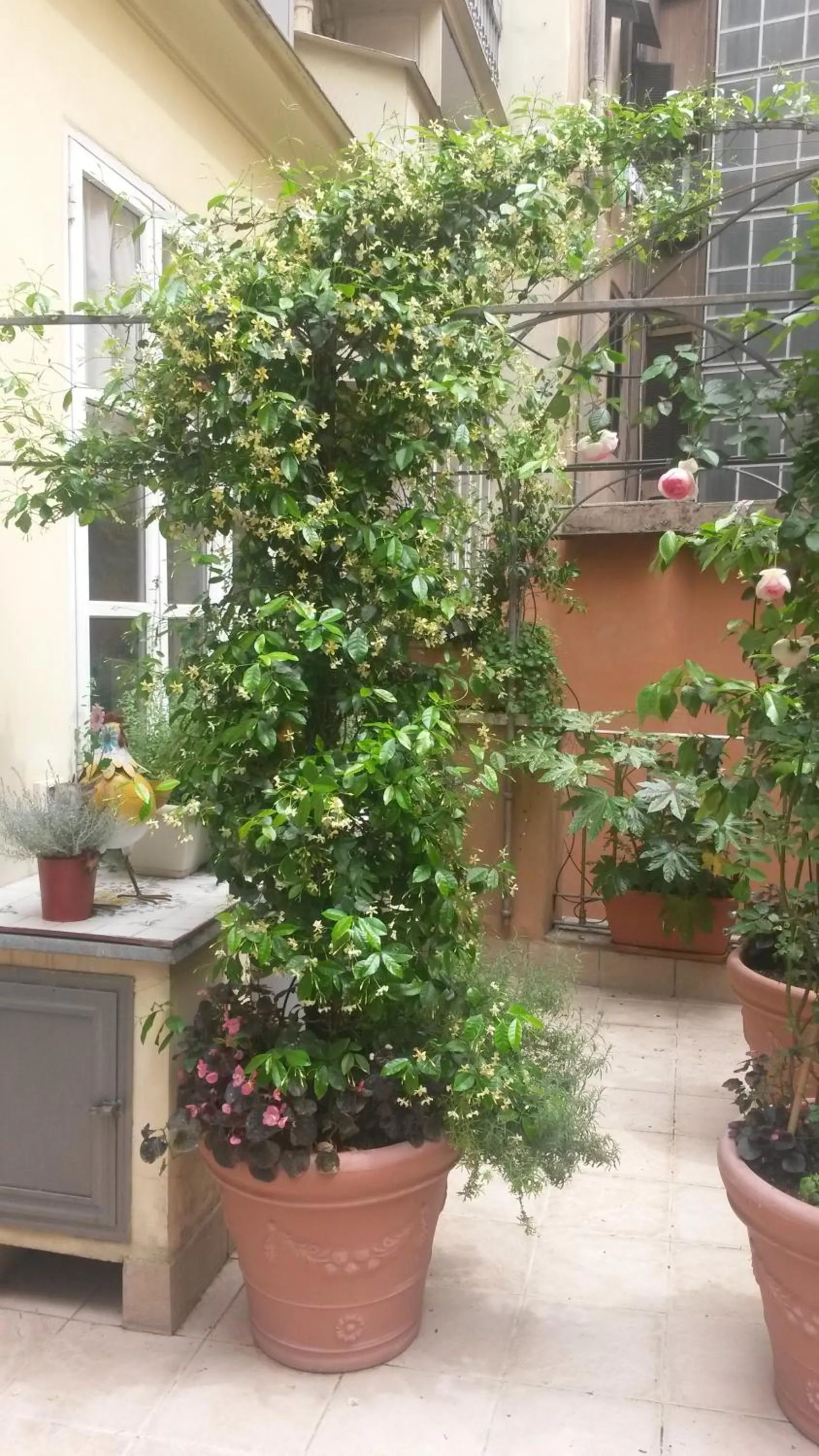 Balcony/Terrace in Viadelloca35