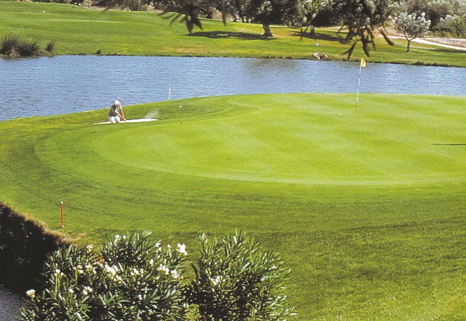 Golfcourse in Rey Sancho Palencia