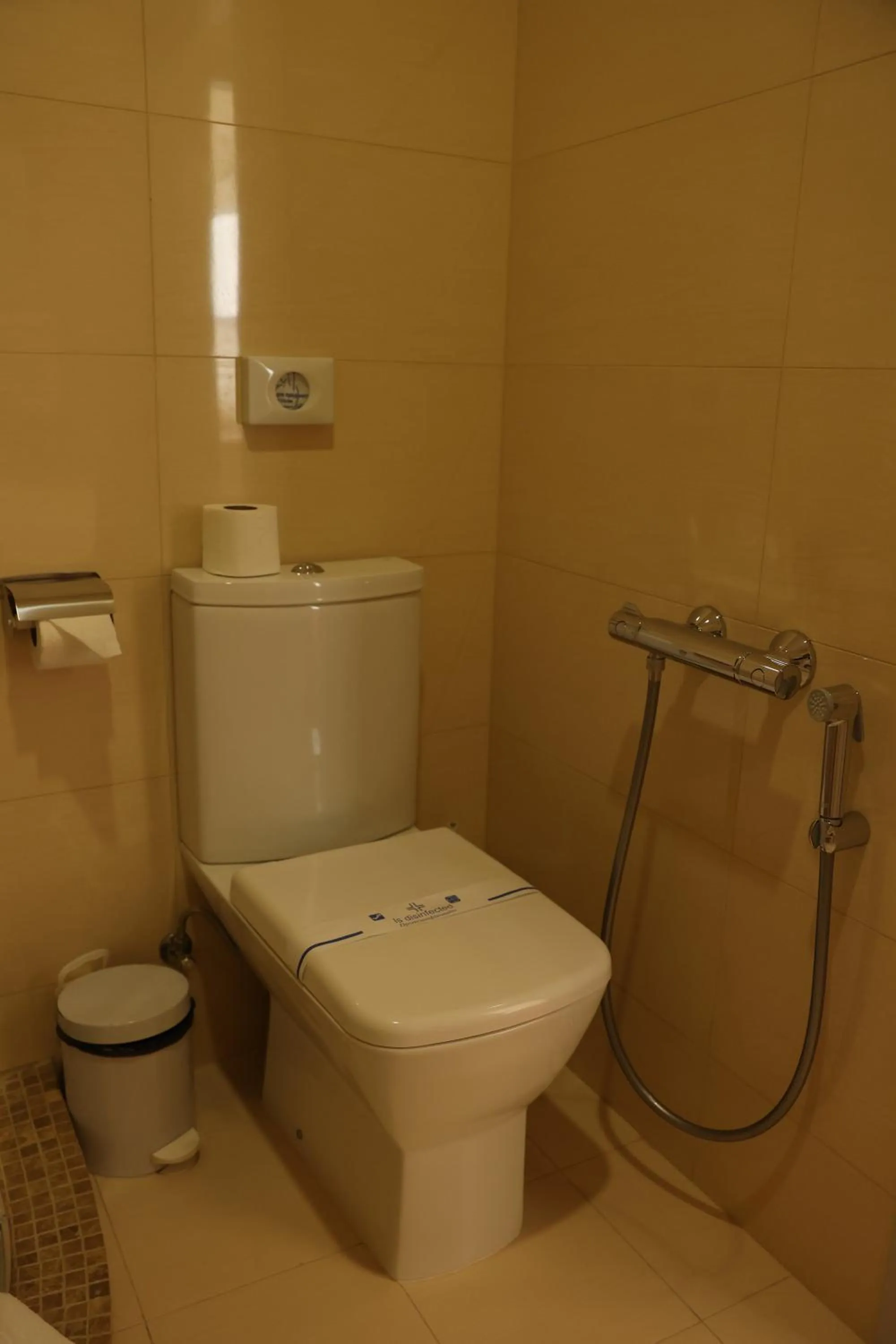 Toilet in Hotel France
