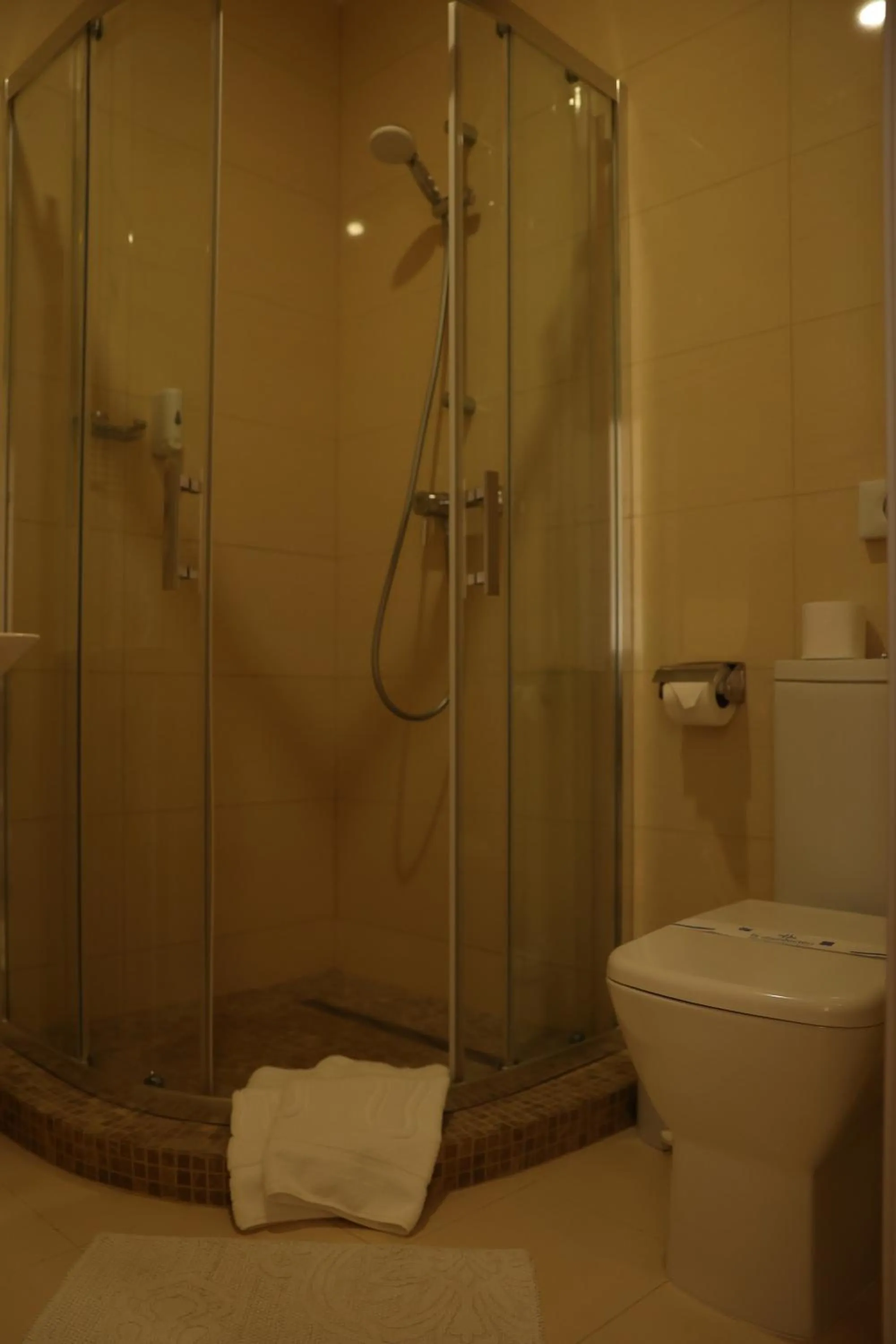 Shower in Hotel France