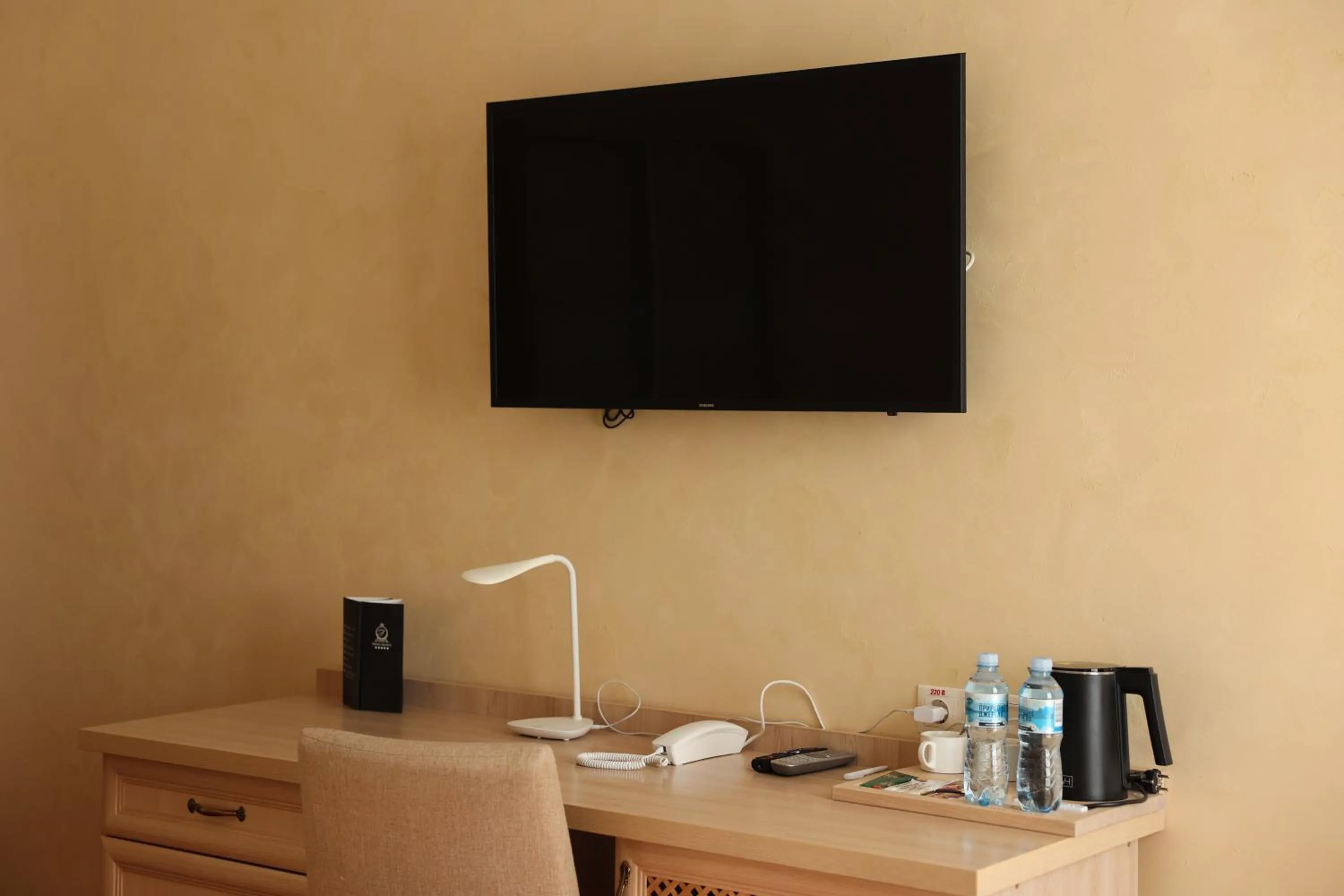 TV and multimedia in Hotel France