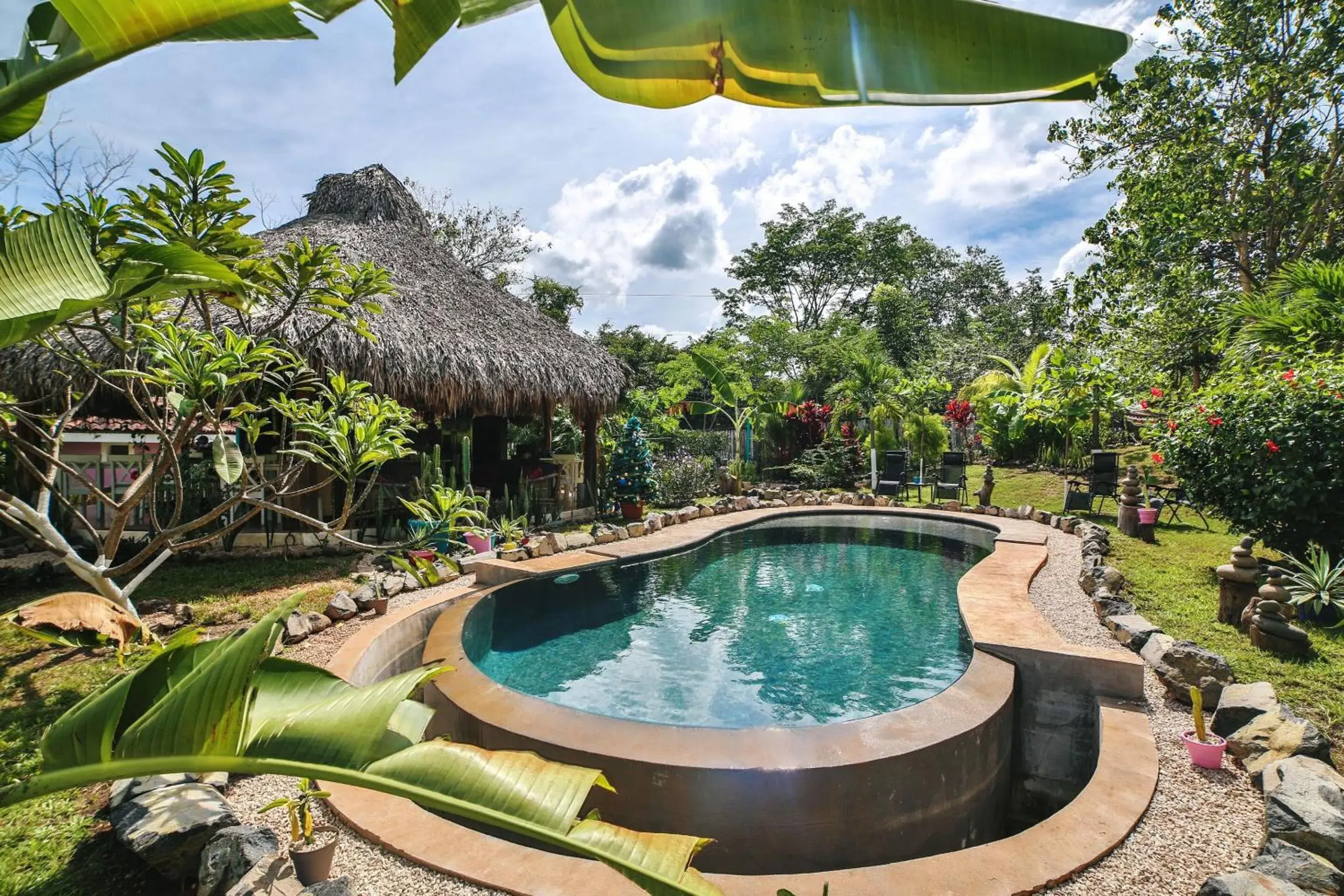 Flor y Bambu Flor y Bambu