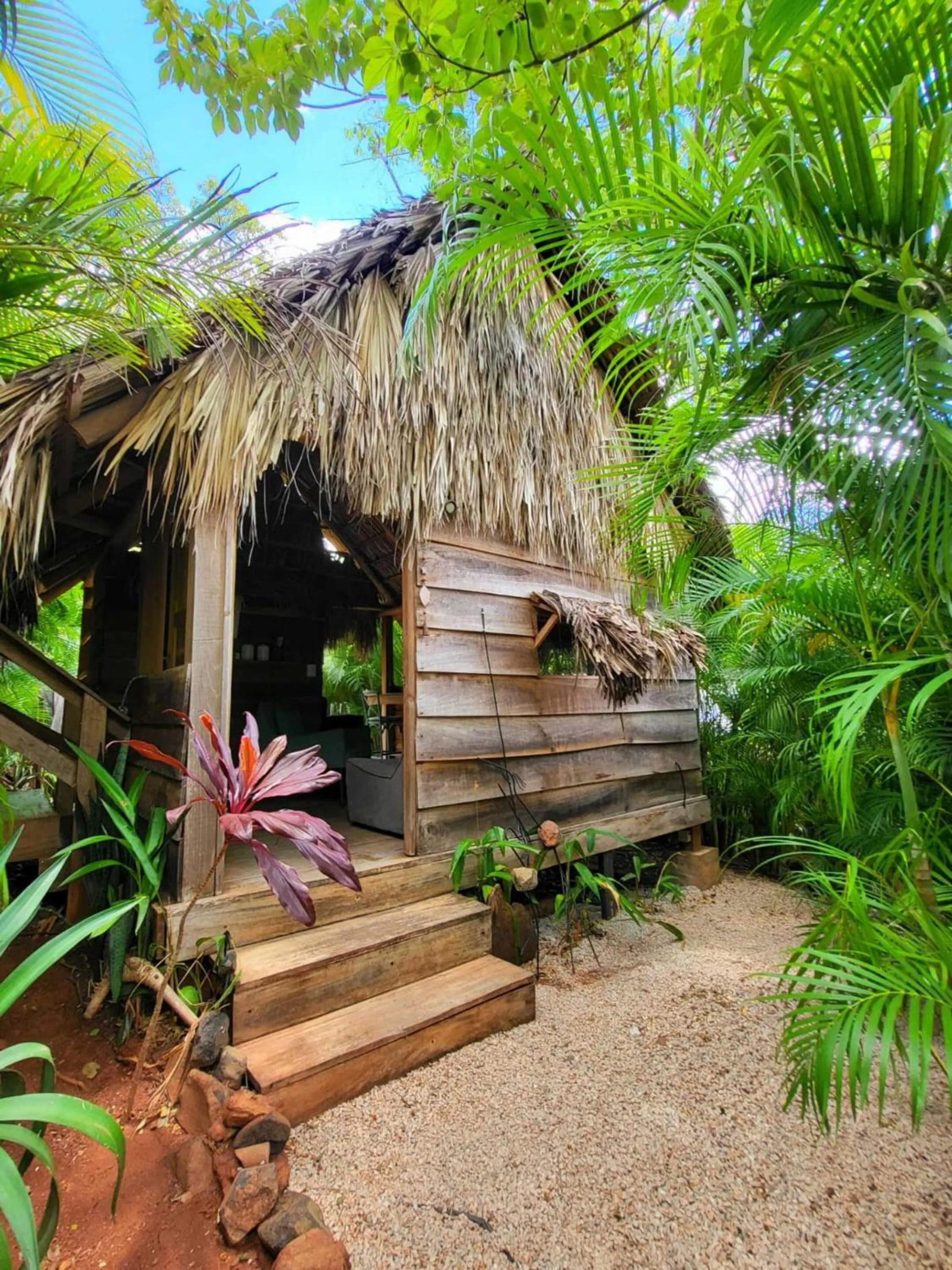 Garden in Flor y Bambu