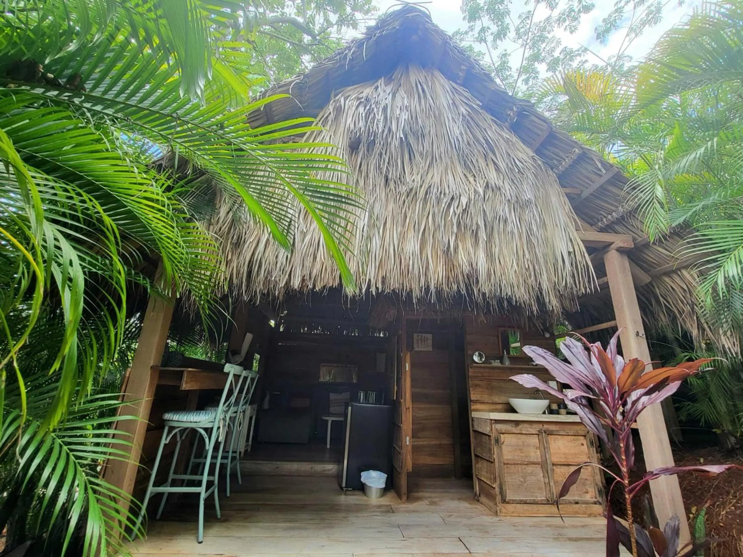 Garden in Flor y Bambu