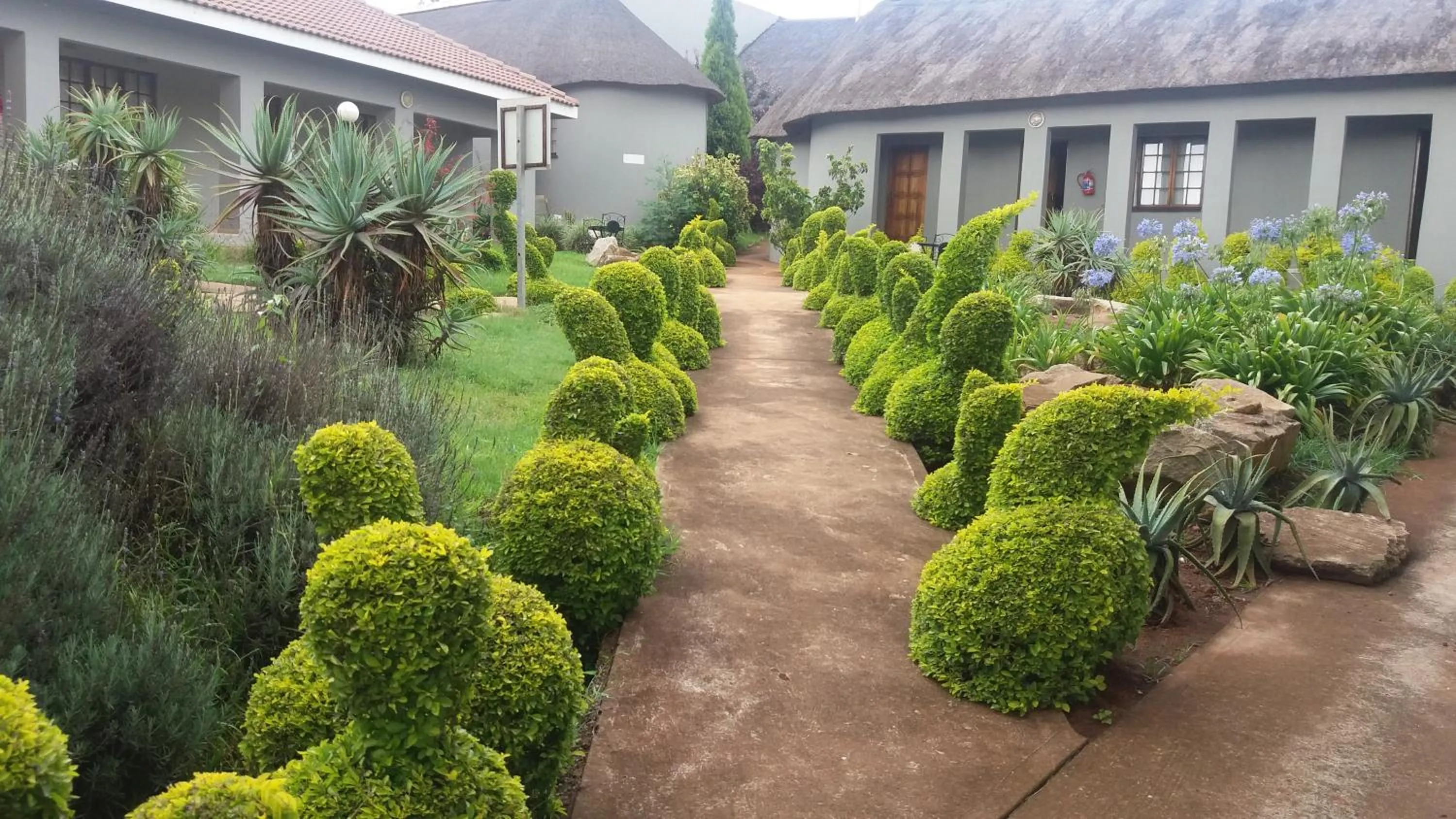 Garden in Nongoma Lodge & Inn CC