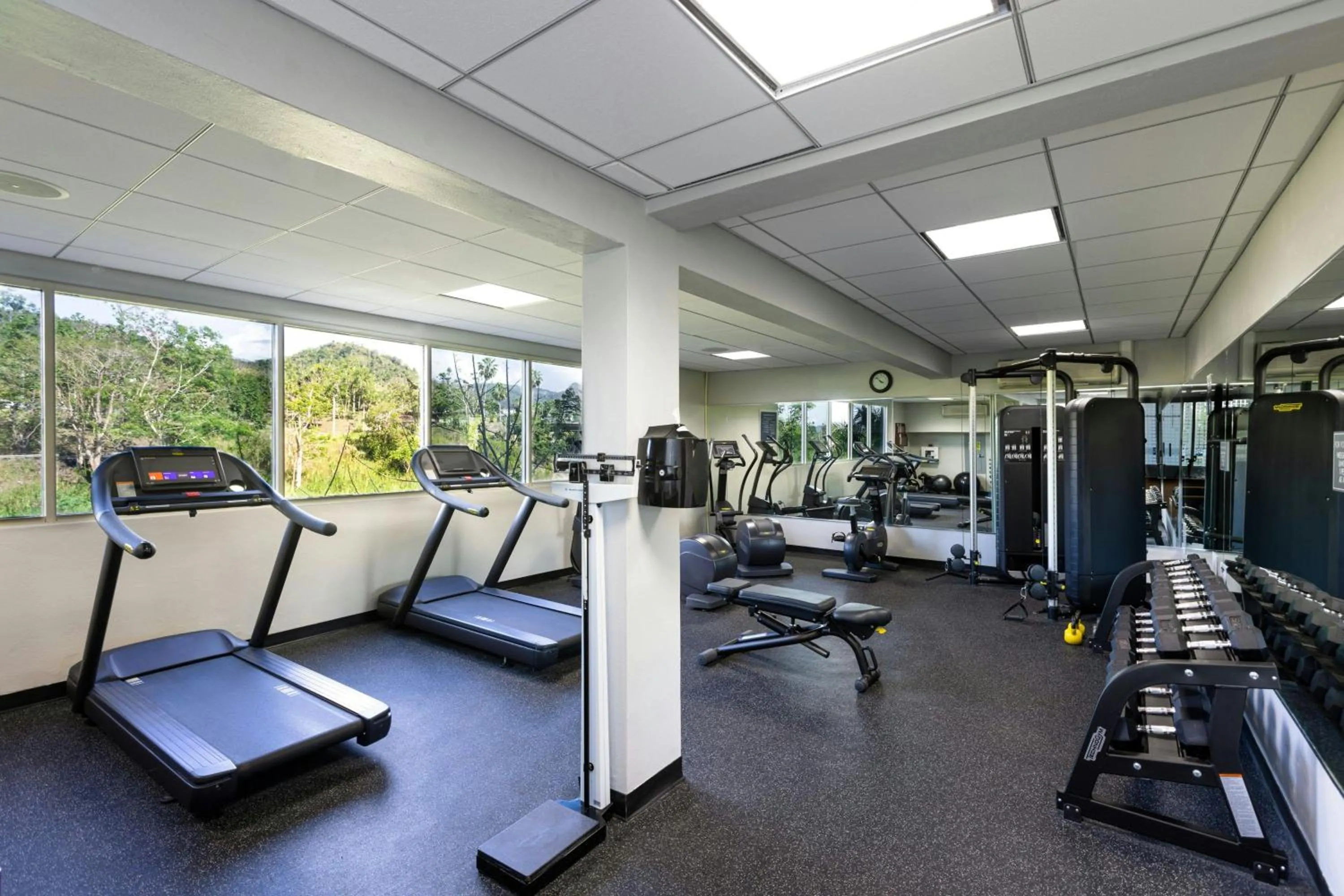 Fitness centre/facilities in Four Points by Sheraton Caguas Real