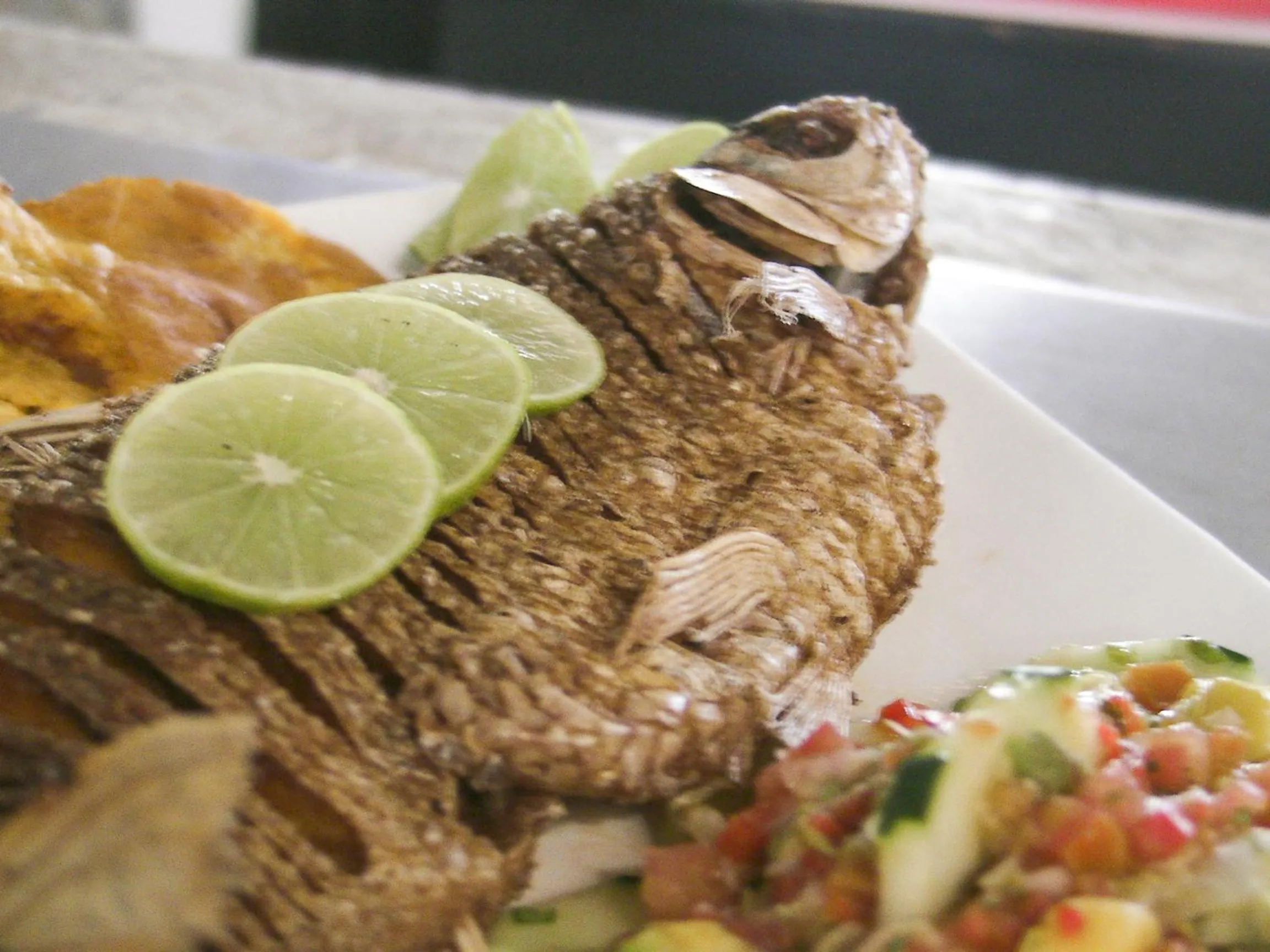 Food close-up in Hotel Y Restaurante La Quinta