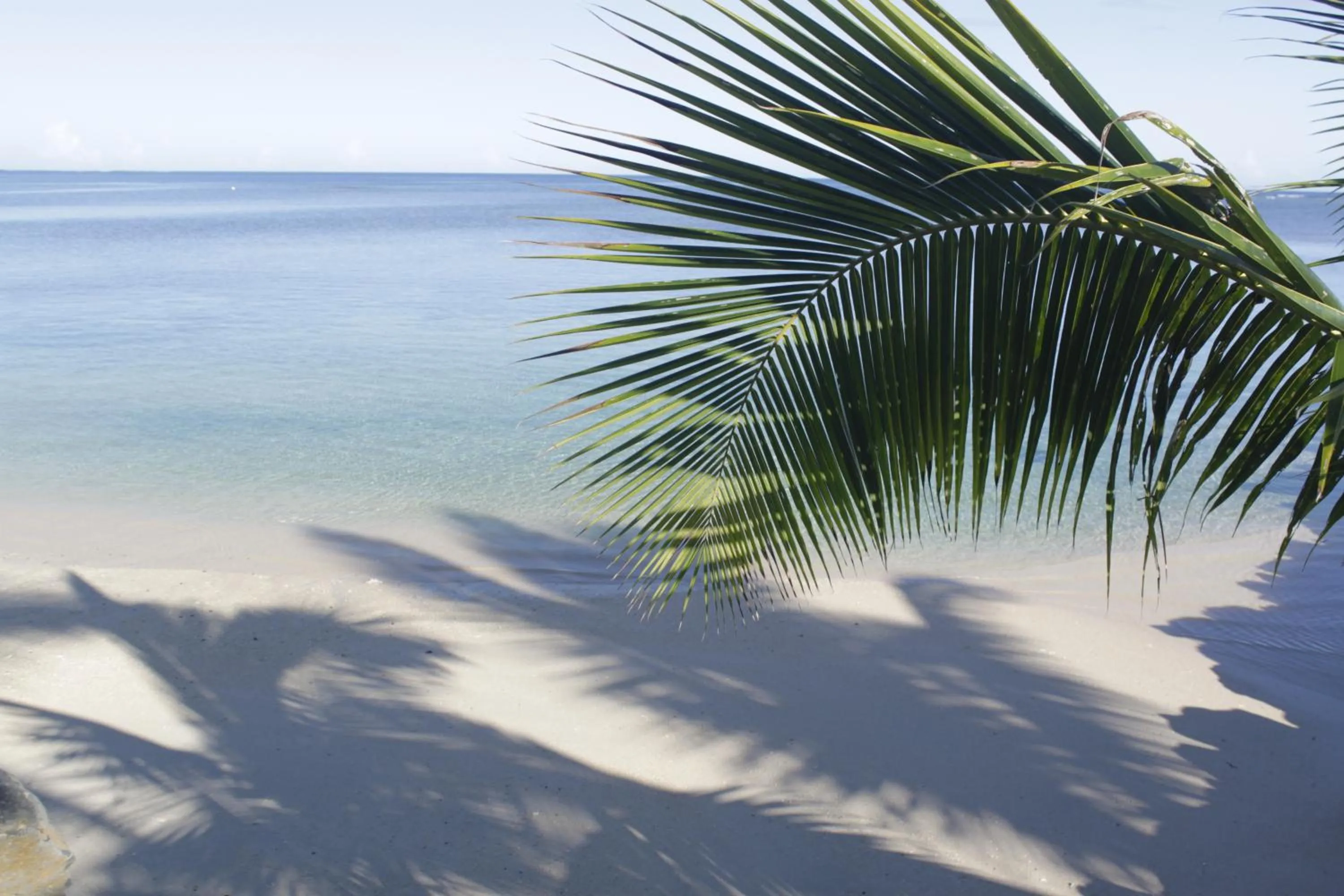 Beach in Savaii Lagoon Resort