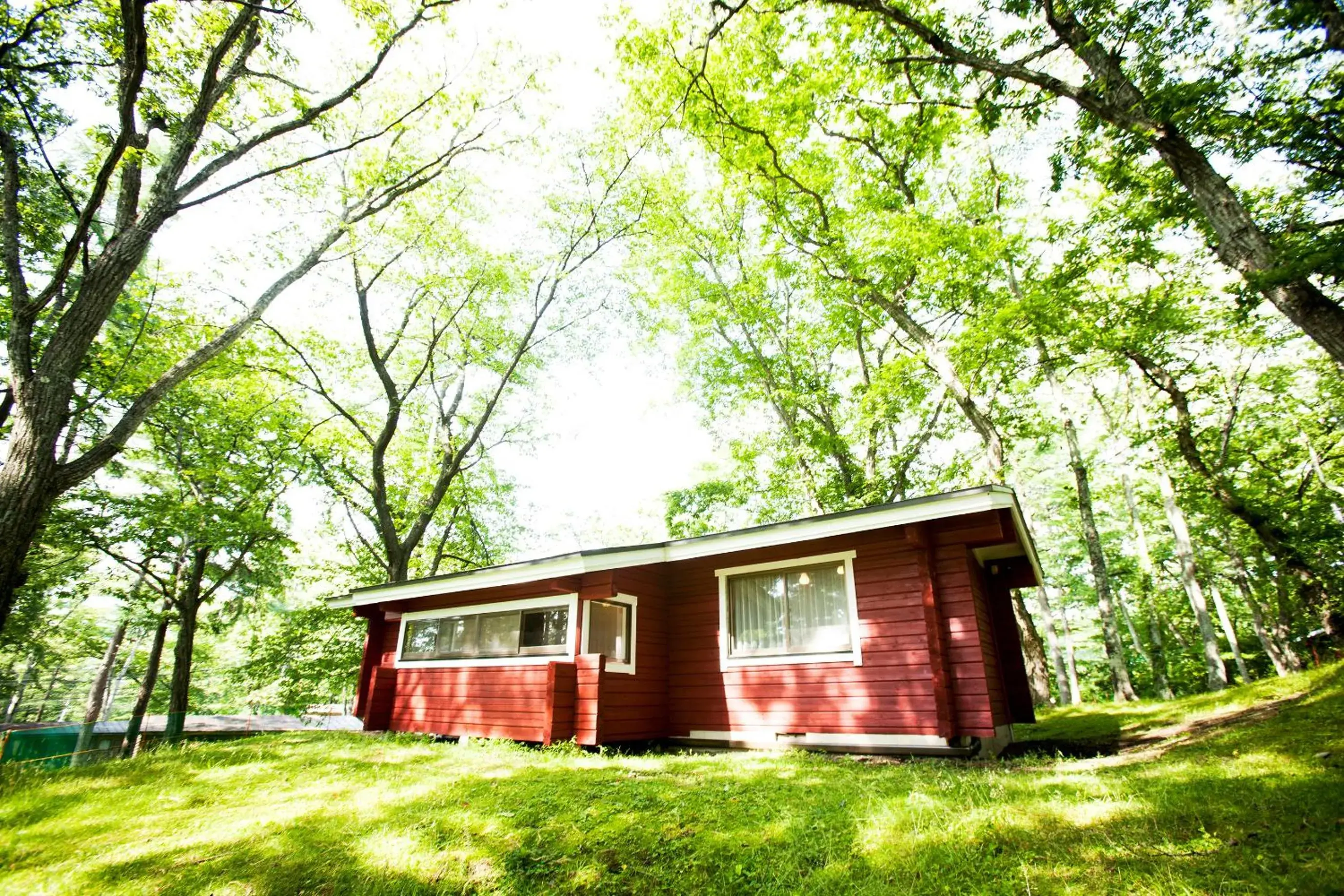 East Cottage TypeA (Non-Smoking) in Karuizawa Prince Hotel East East Cottage TypeA (Non-Smoking) in Karuizawa Prince Hotel East