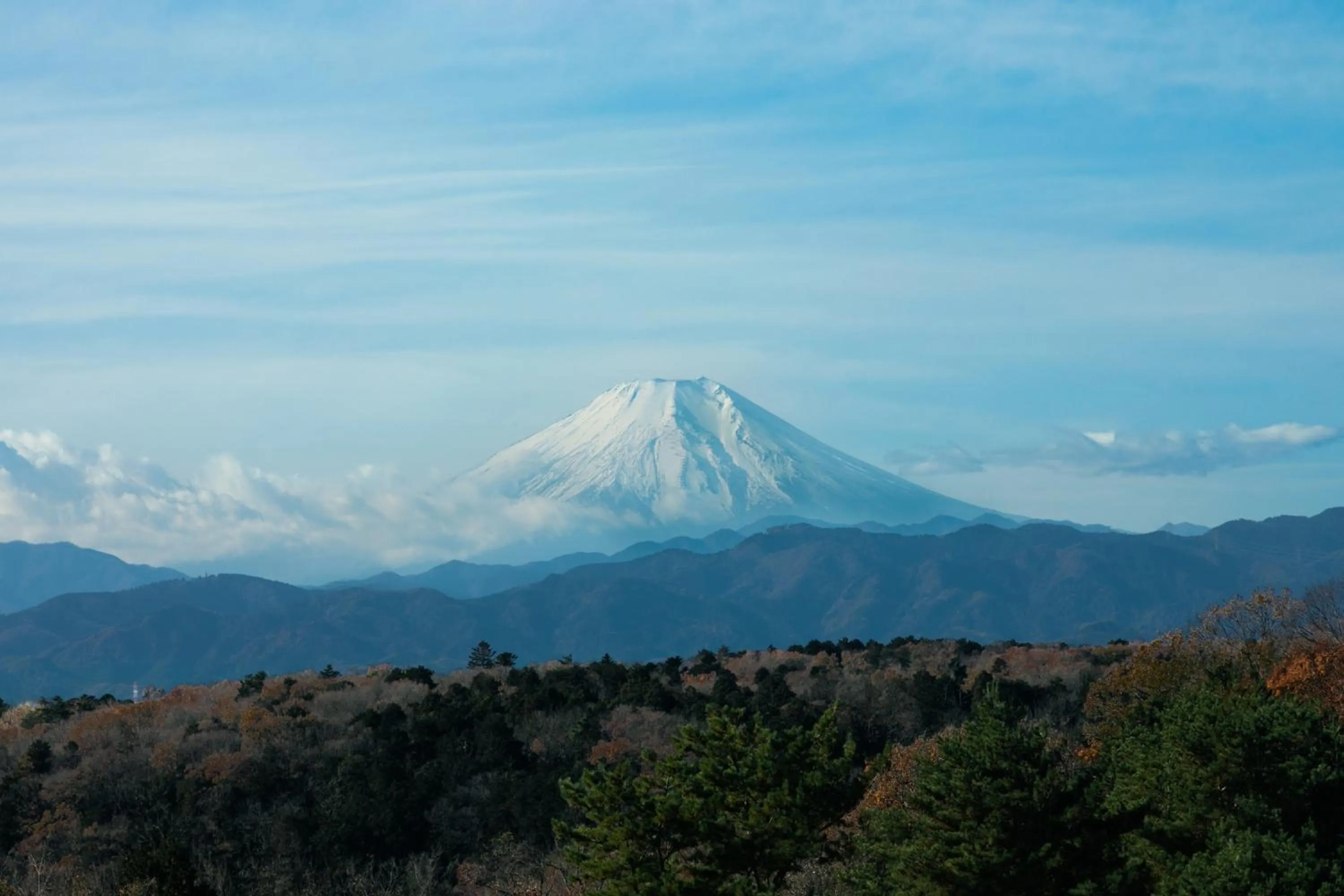 View (from property/room) in Kikusuitei